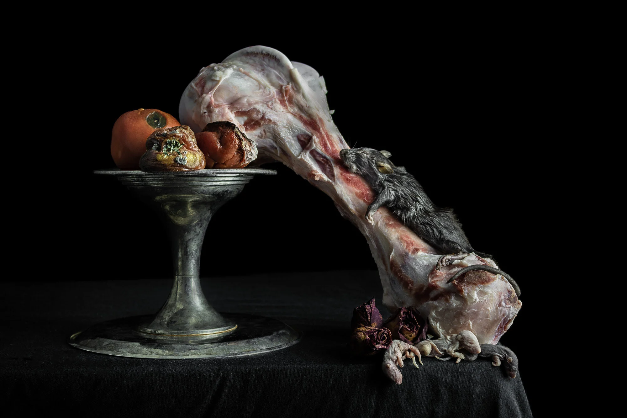 Hunger for Death, by Joshua Marsella