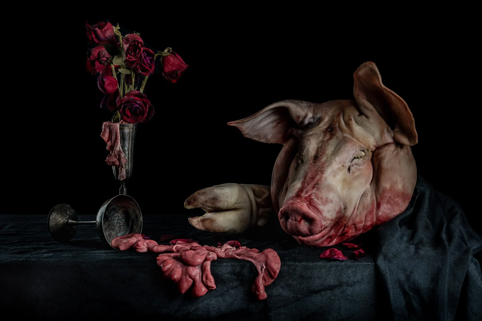 Vanitas with Pig Head and Flowers