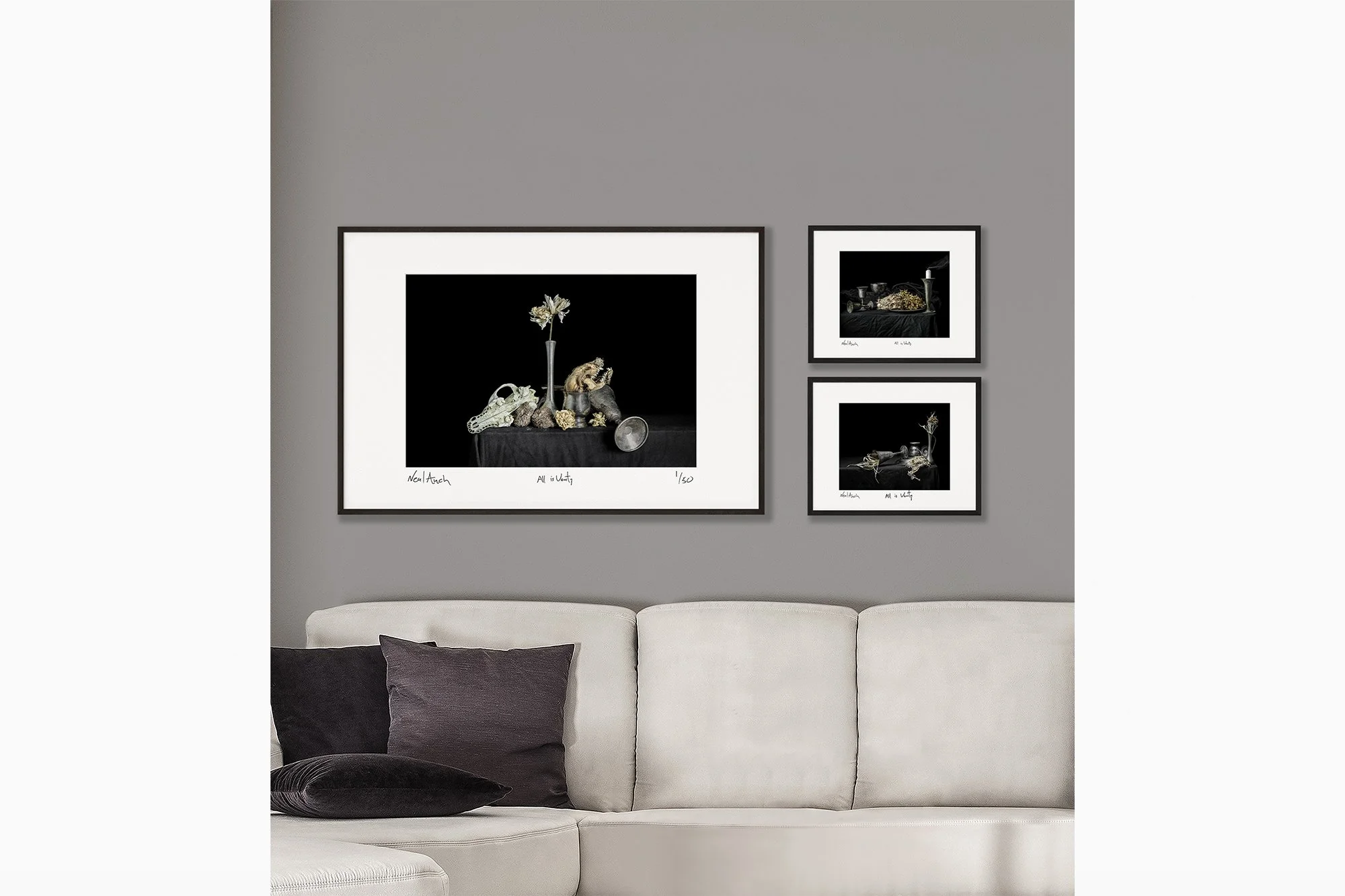 website-raccoon-head-mockups.jpg