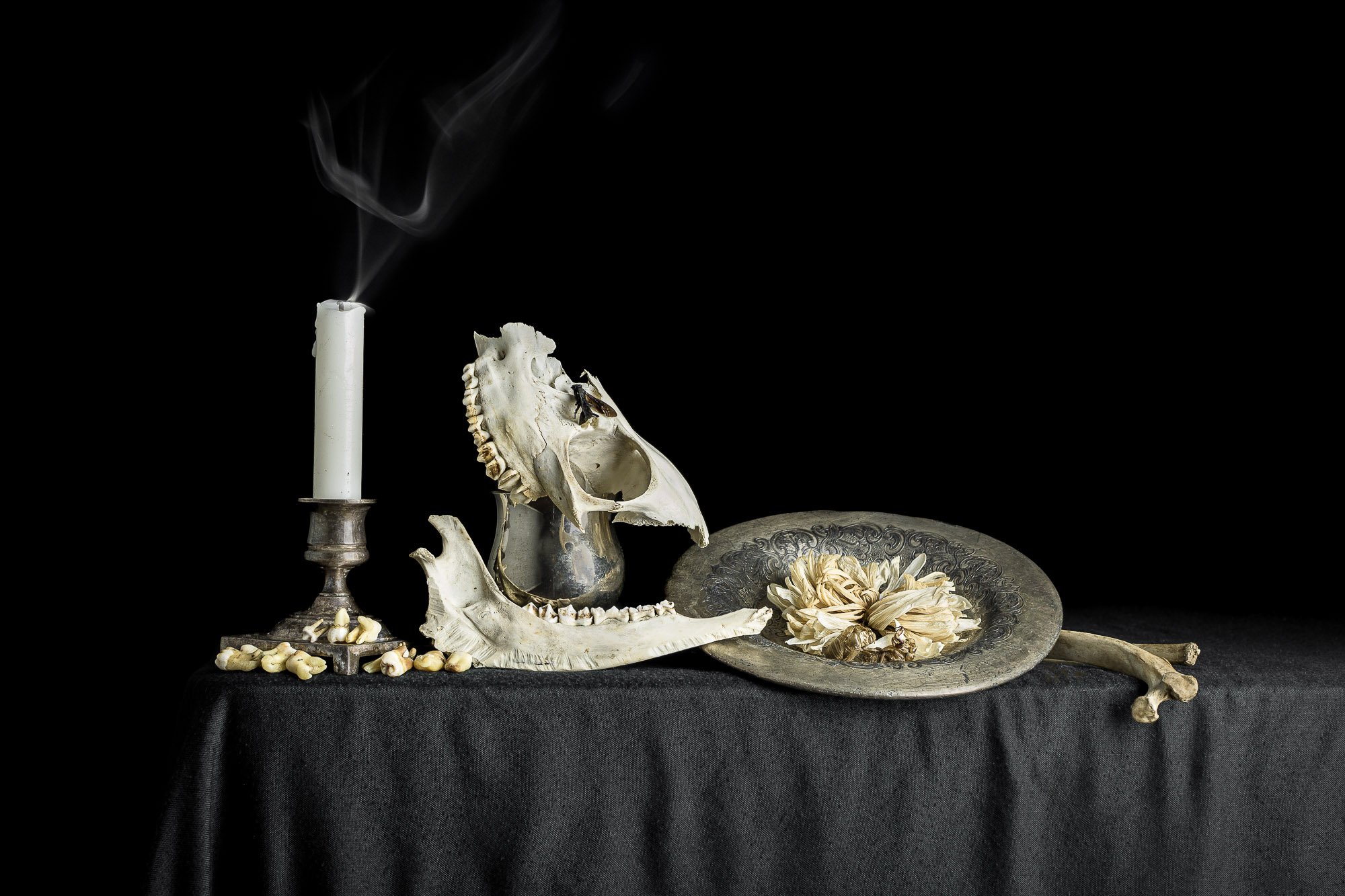 neal-auch-vanitas-with-bones-and-insects-2.jpg