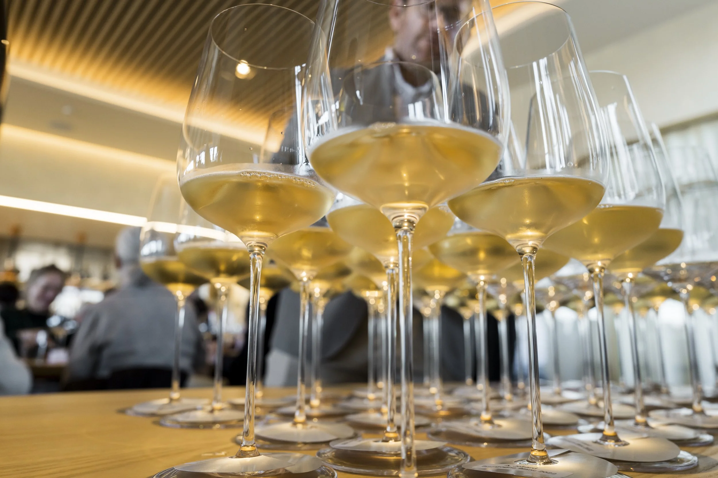 Les petits des grands - Arquet-14.jpg