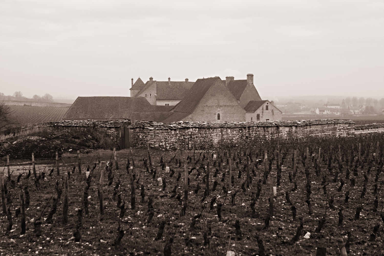 Burgundy0200.jpg