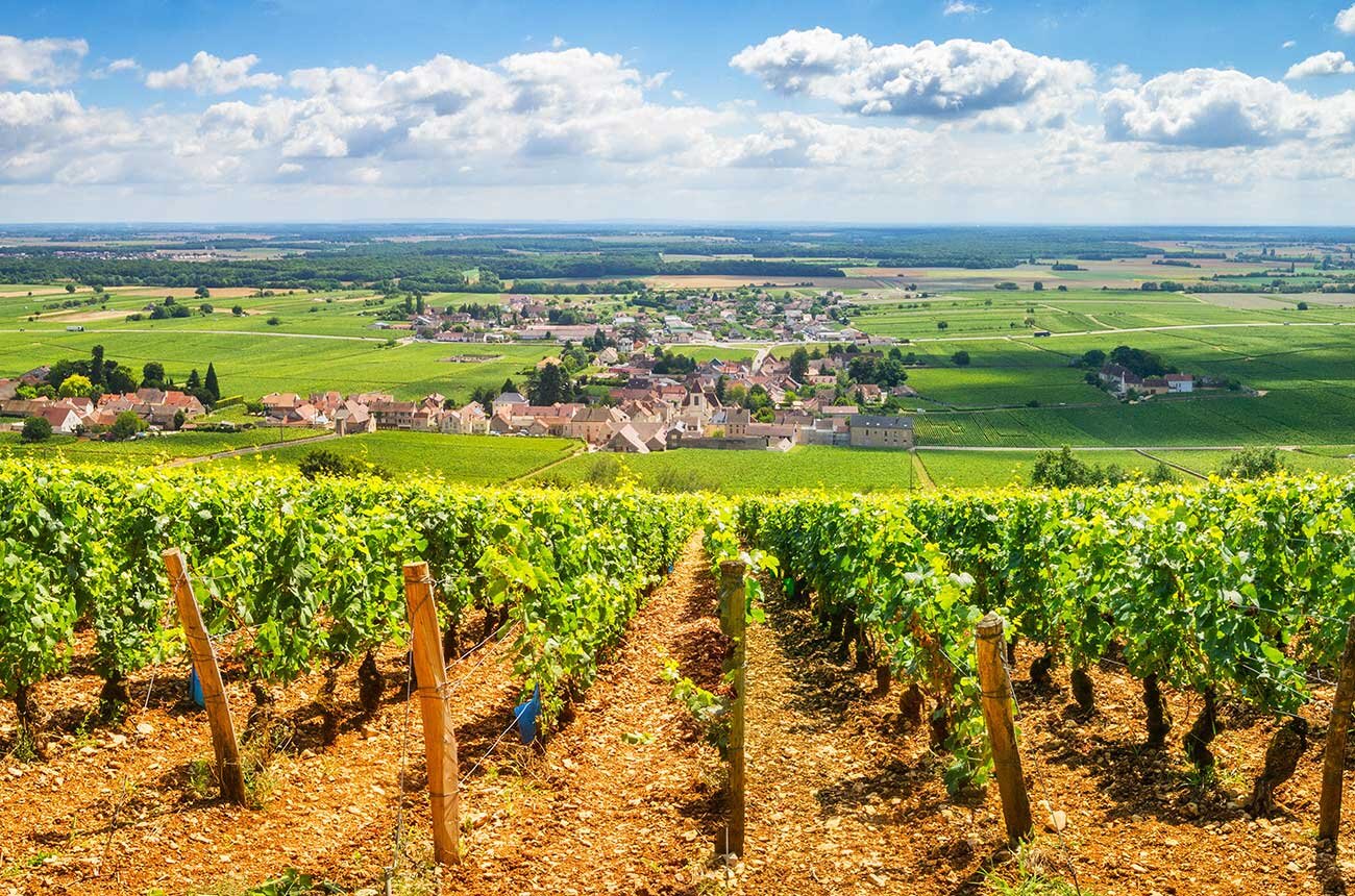 burgundy-vineyards-alamy-K6W14A.jpg