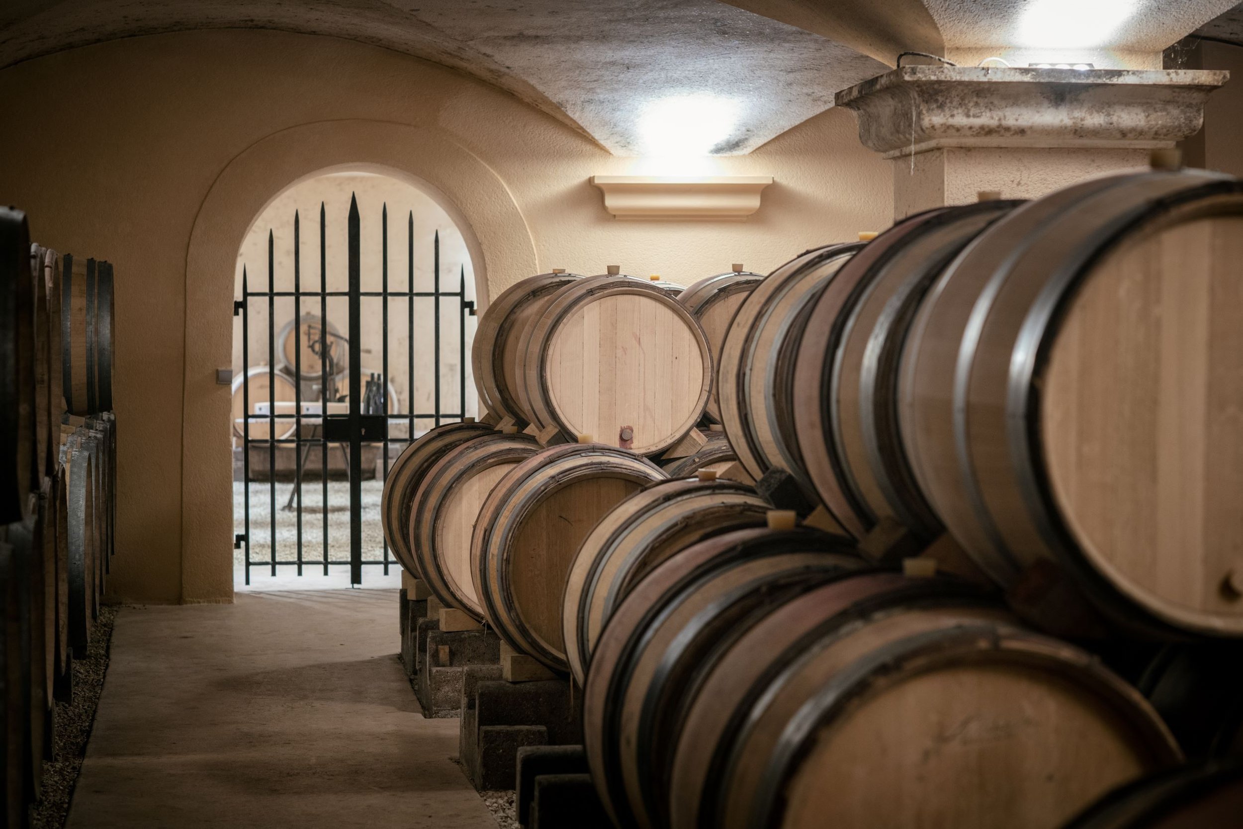 LEROUX cellar and vinotheque.jpg