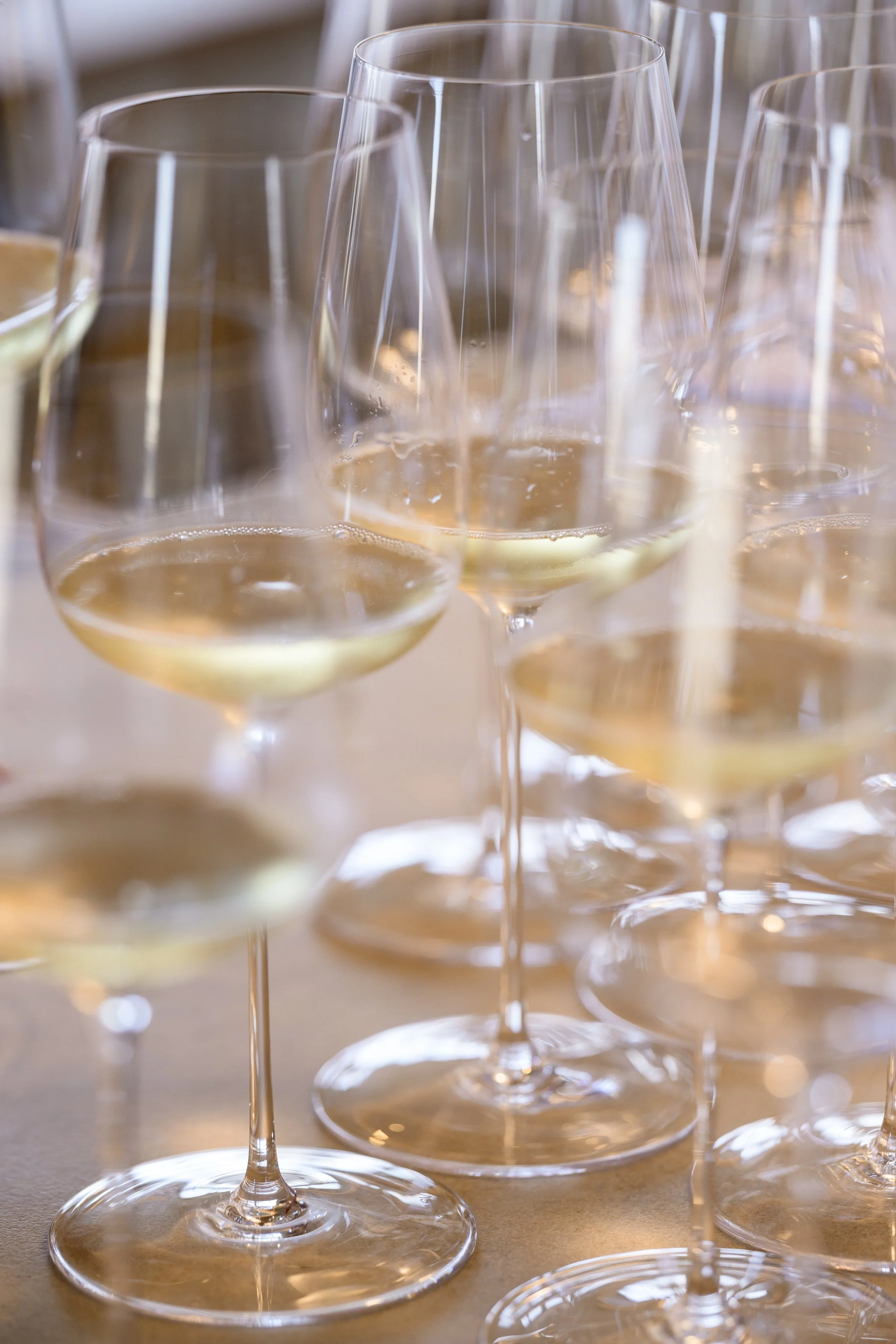 Les petits des grands - Arquet-43.jpg