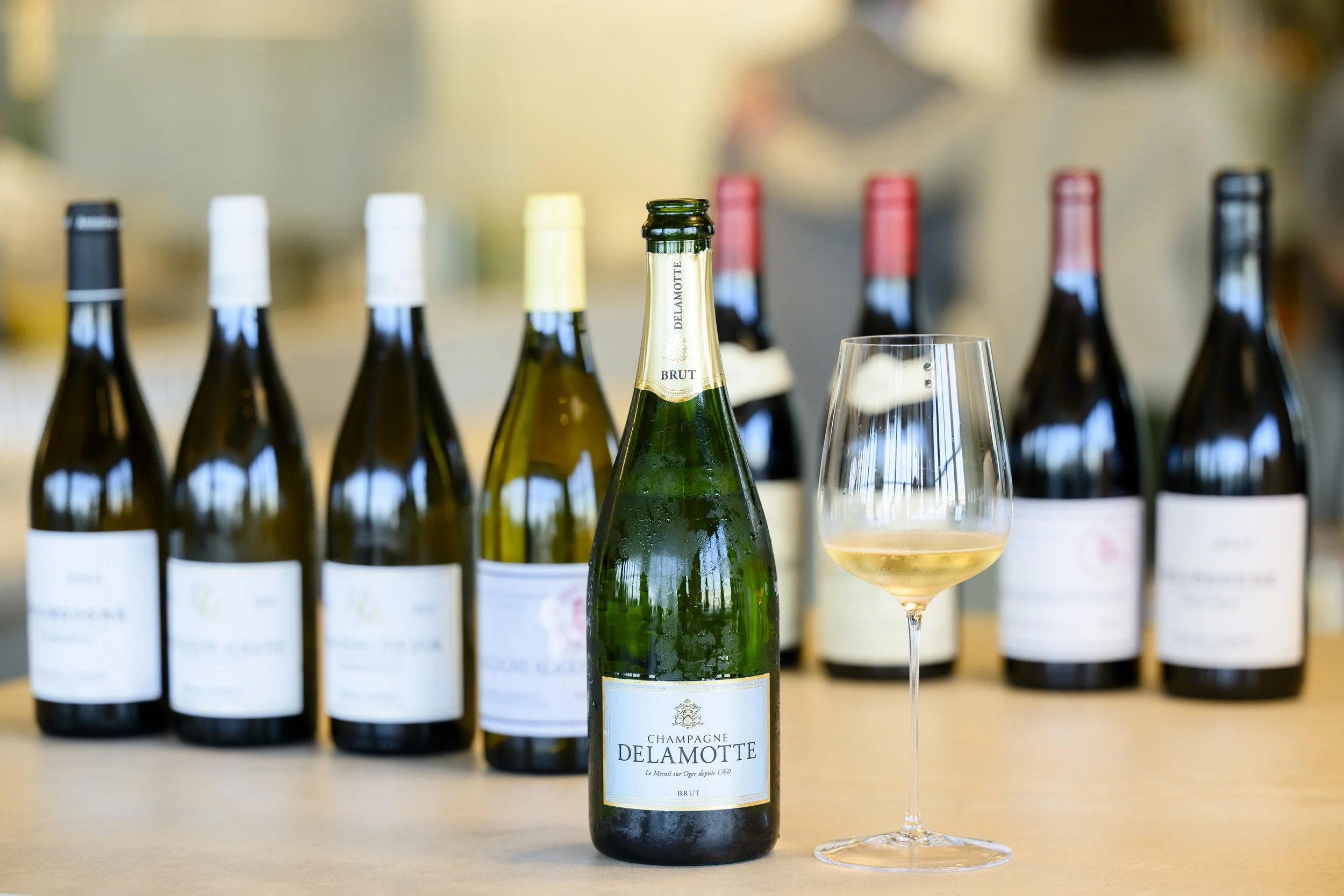 Les petits des grands - Arquet-37.jpg