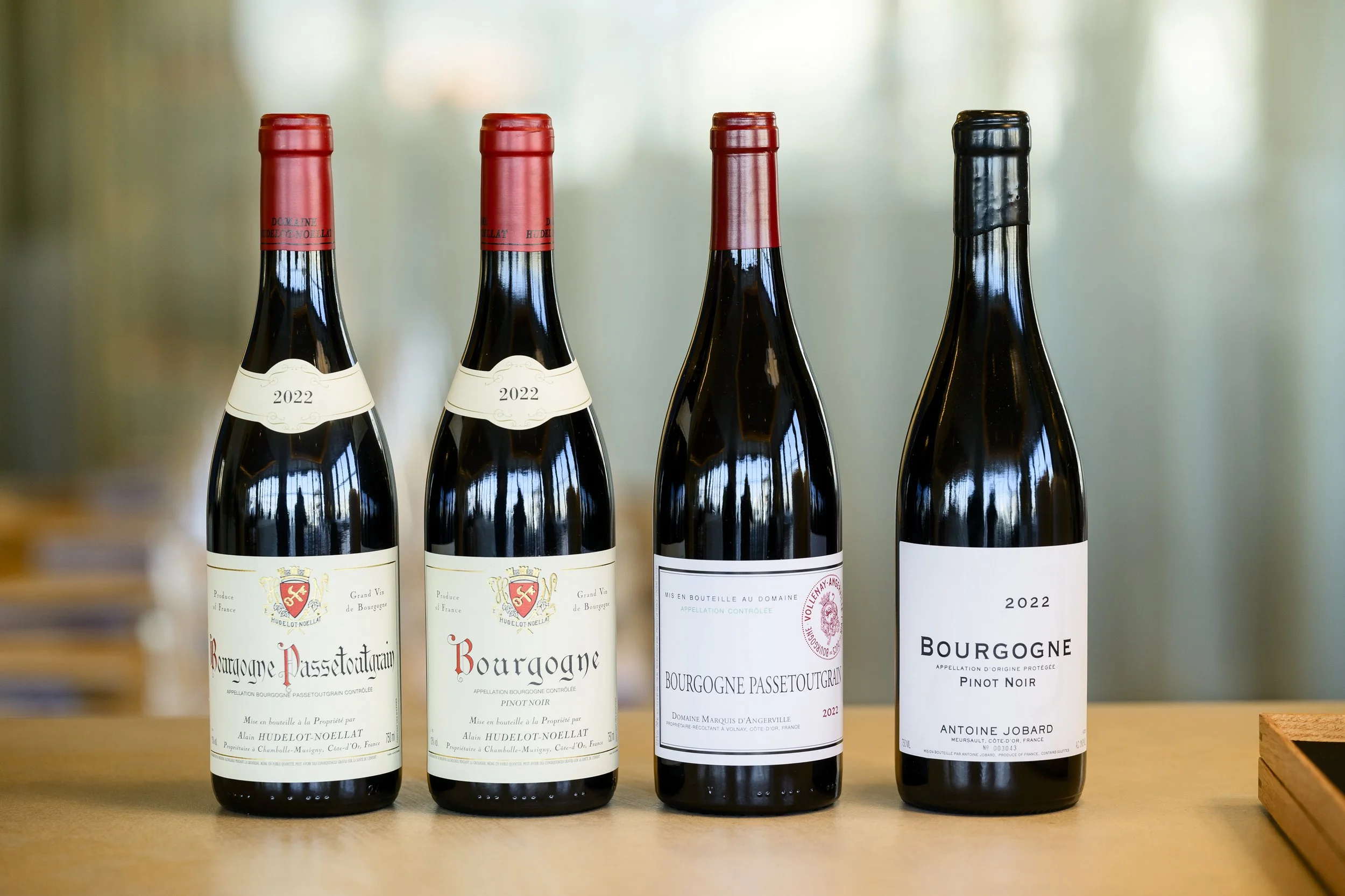 Les petits des grands - Arquet-24.jpg