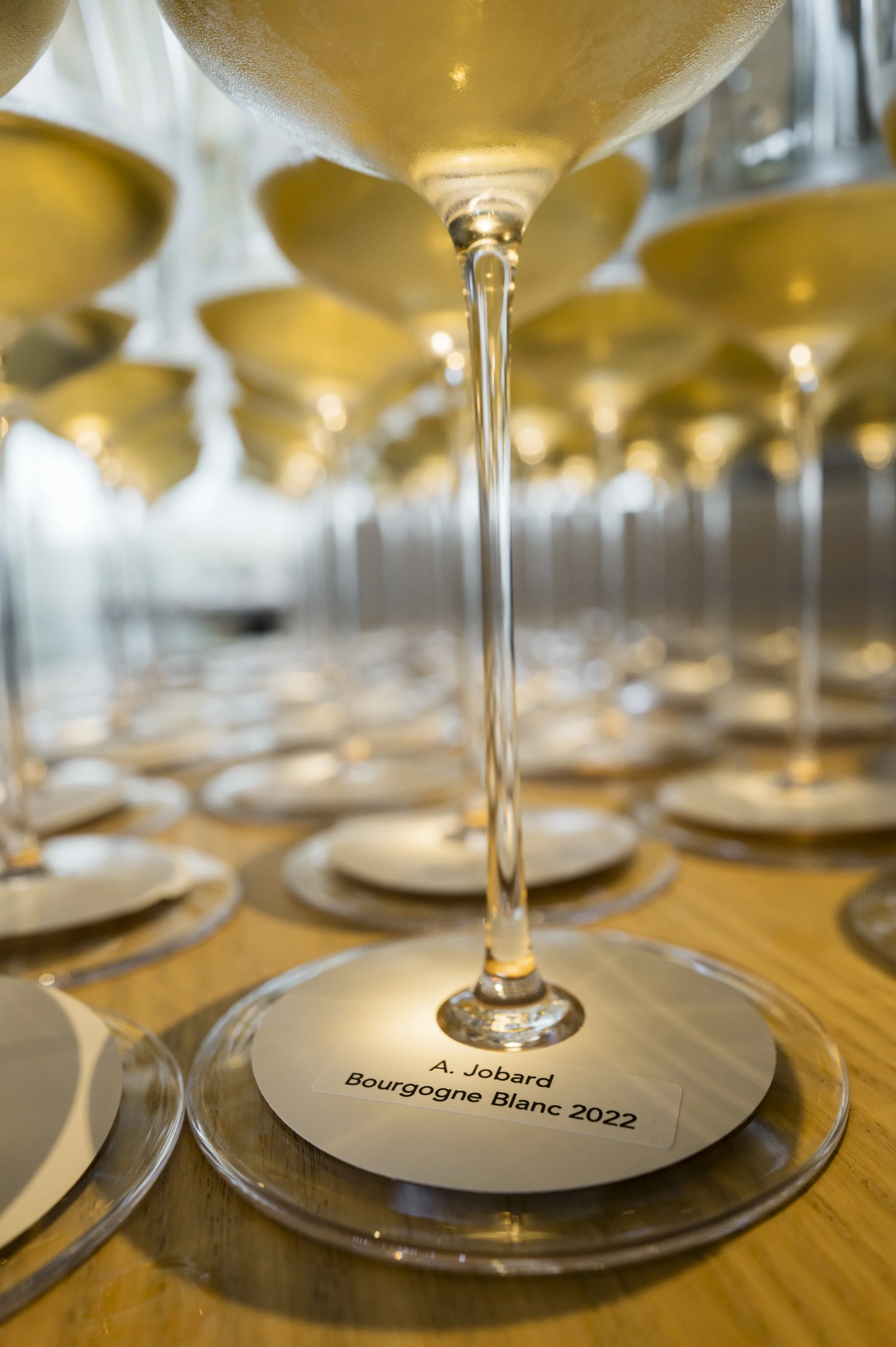 Les petits des grands - Arquet-18.jpg