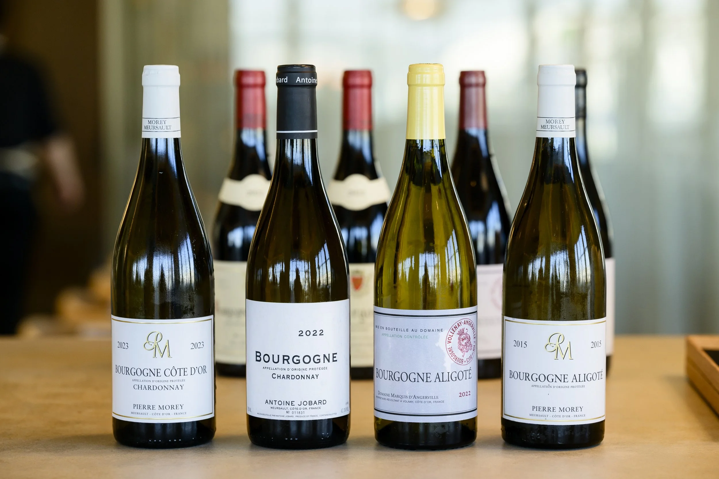 Les petits des grands - Arquet-29.jpg