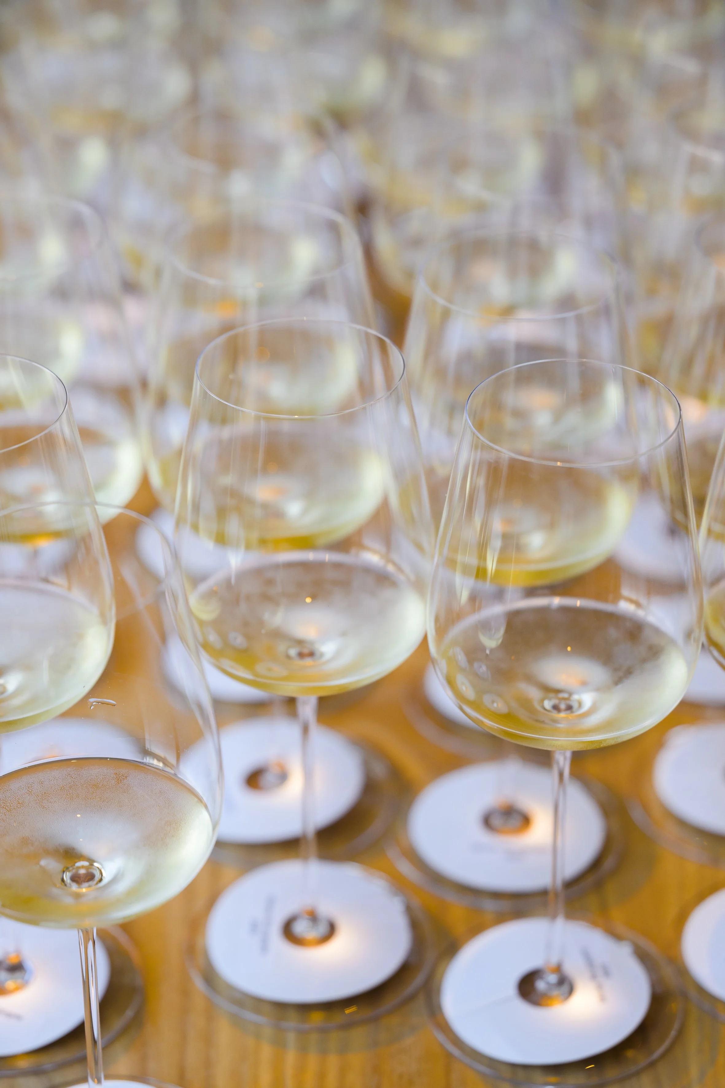 Les petits des grands - Arquet-91.jpg