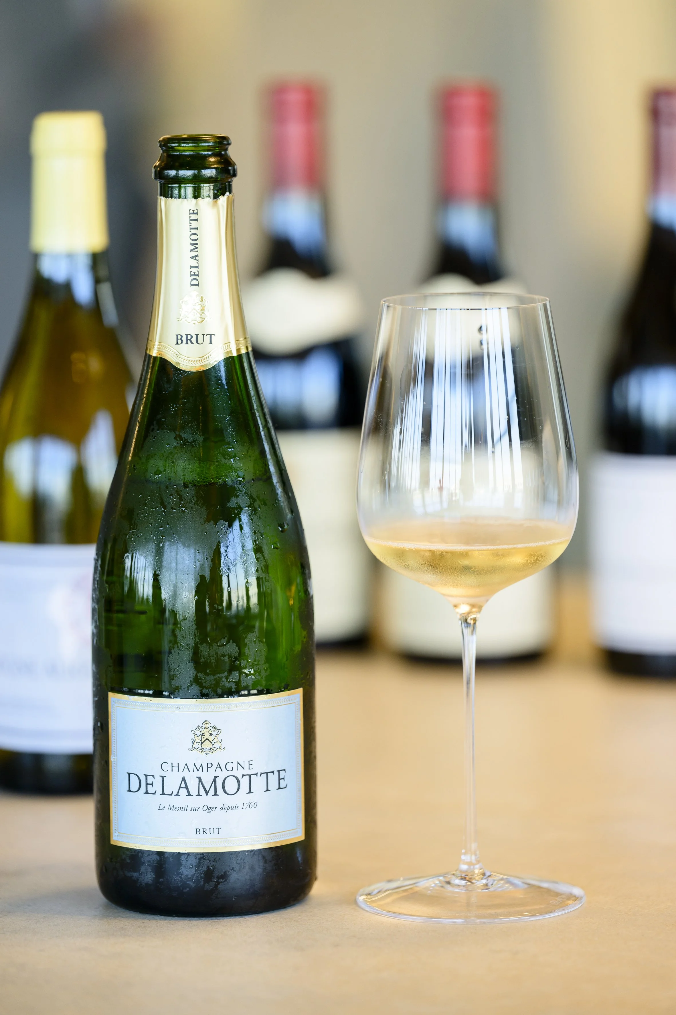 Les petits des grands - Arquet-36.jpg