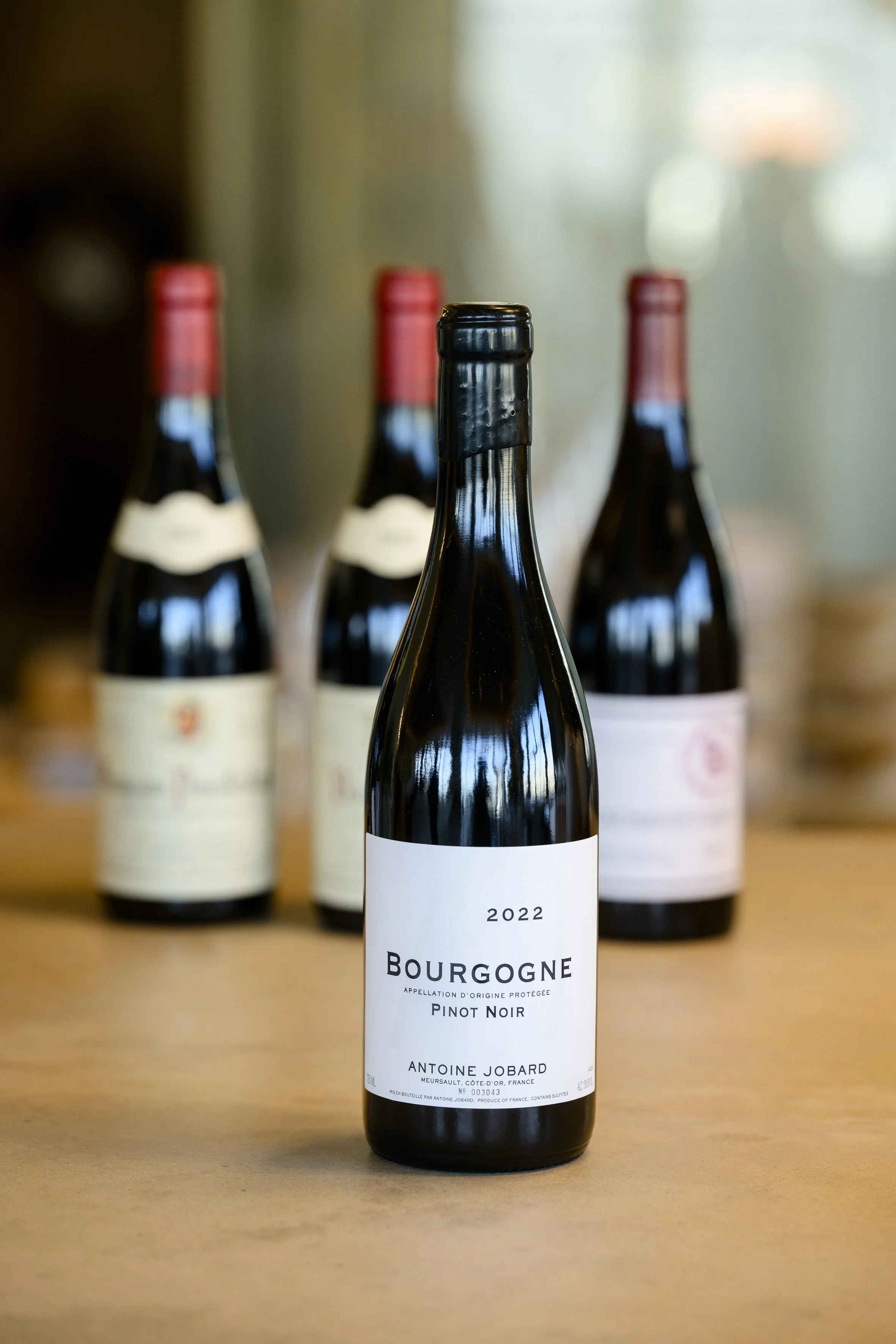 Les petits des grands - Arquet-28.jpg