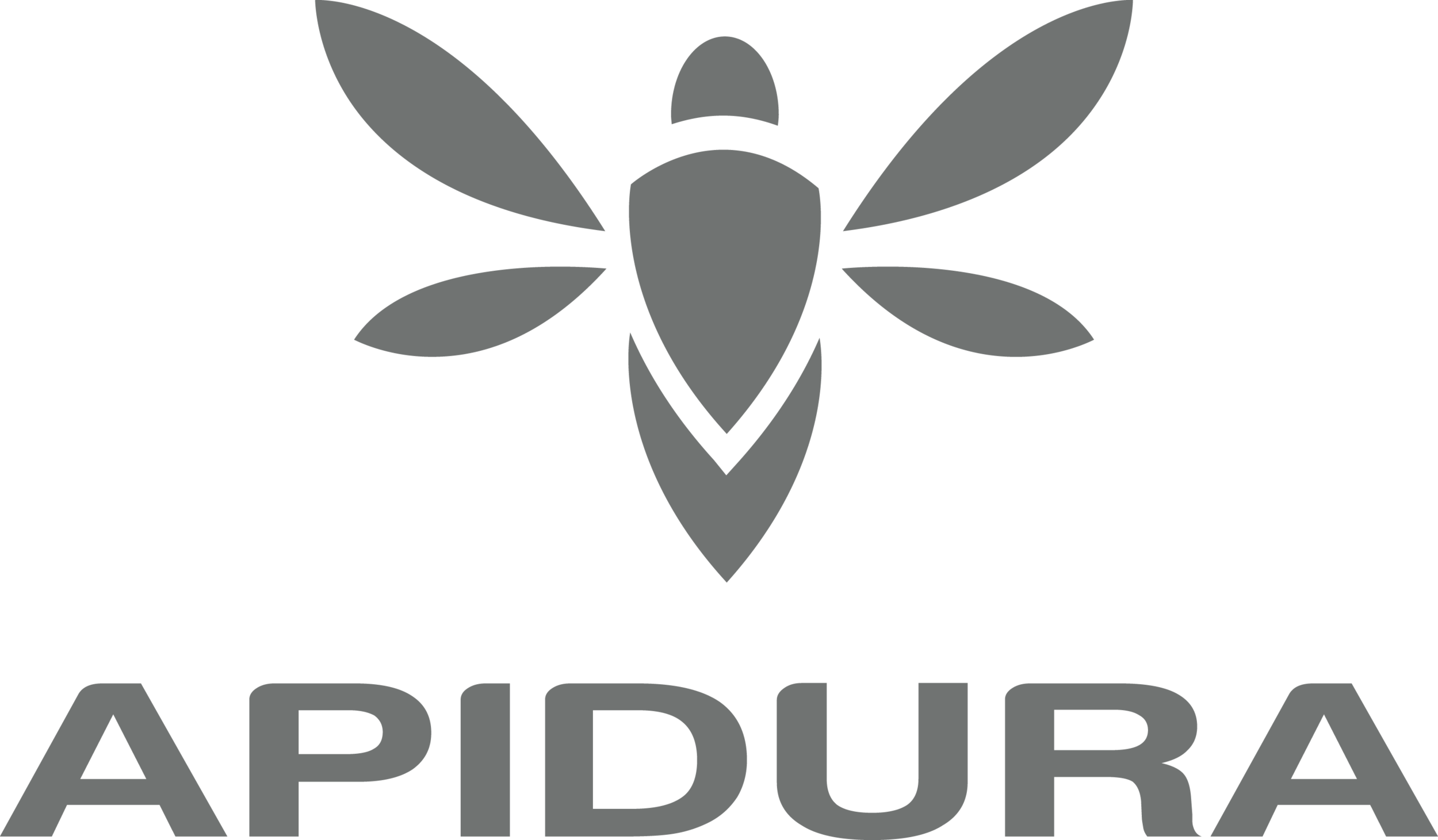 Apidura_darkgrey_RGB.png