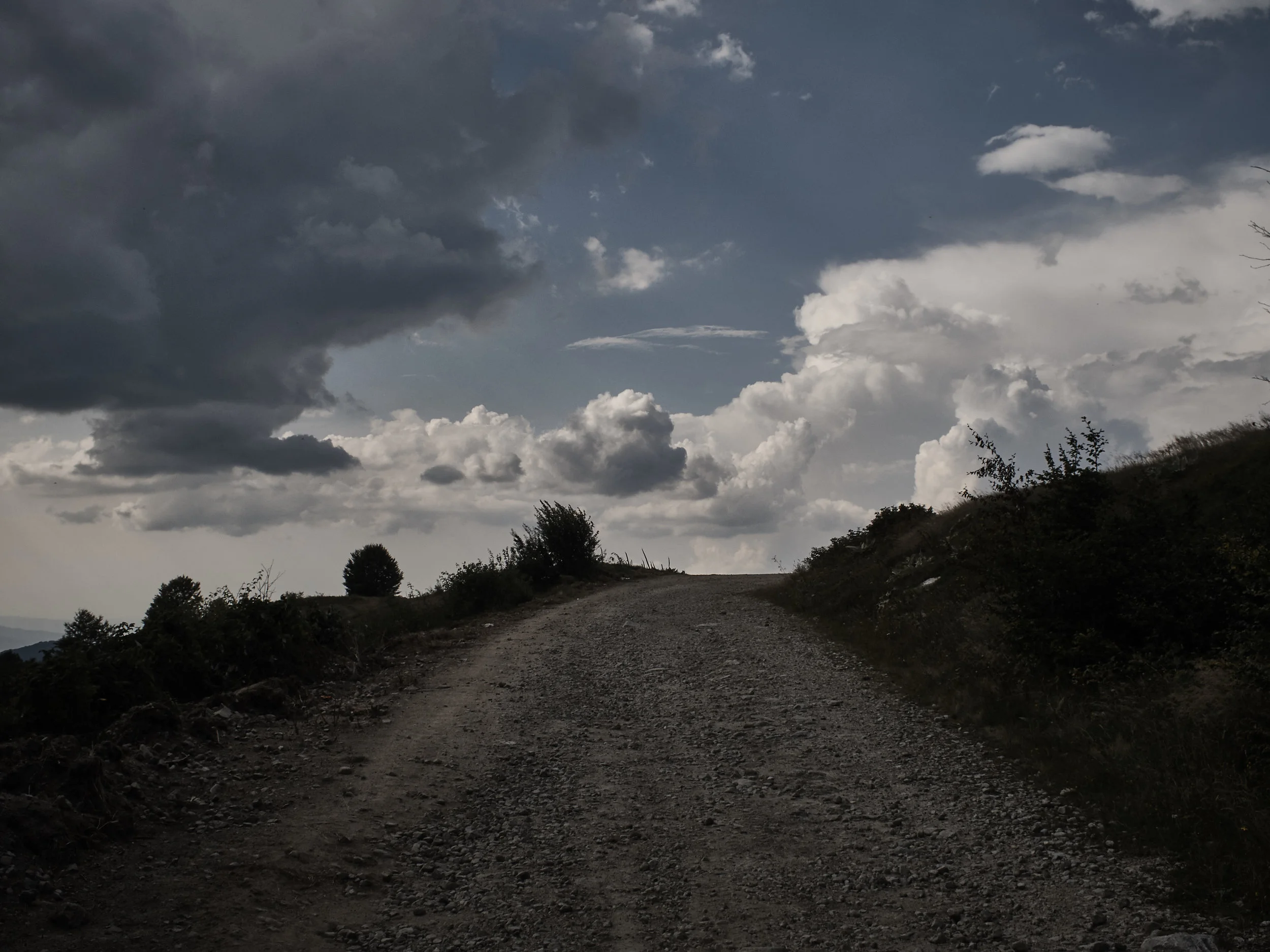 _MCM2692_ede.jpg