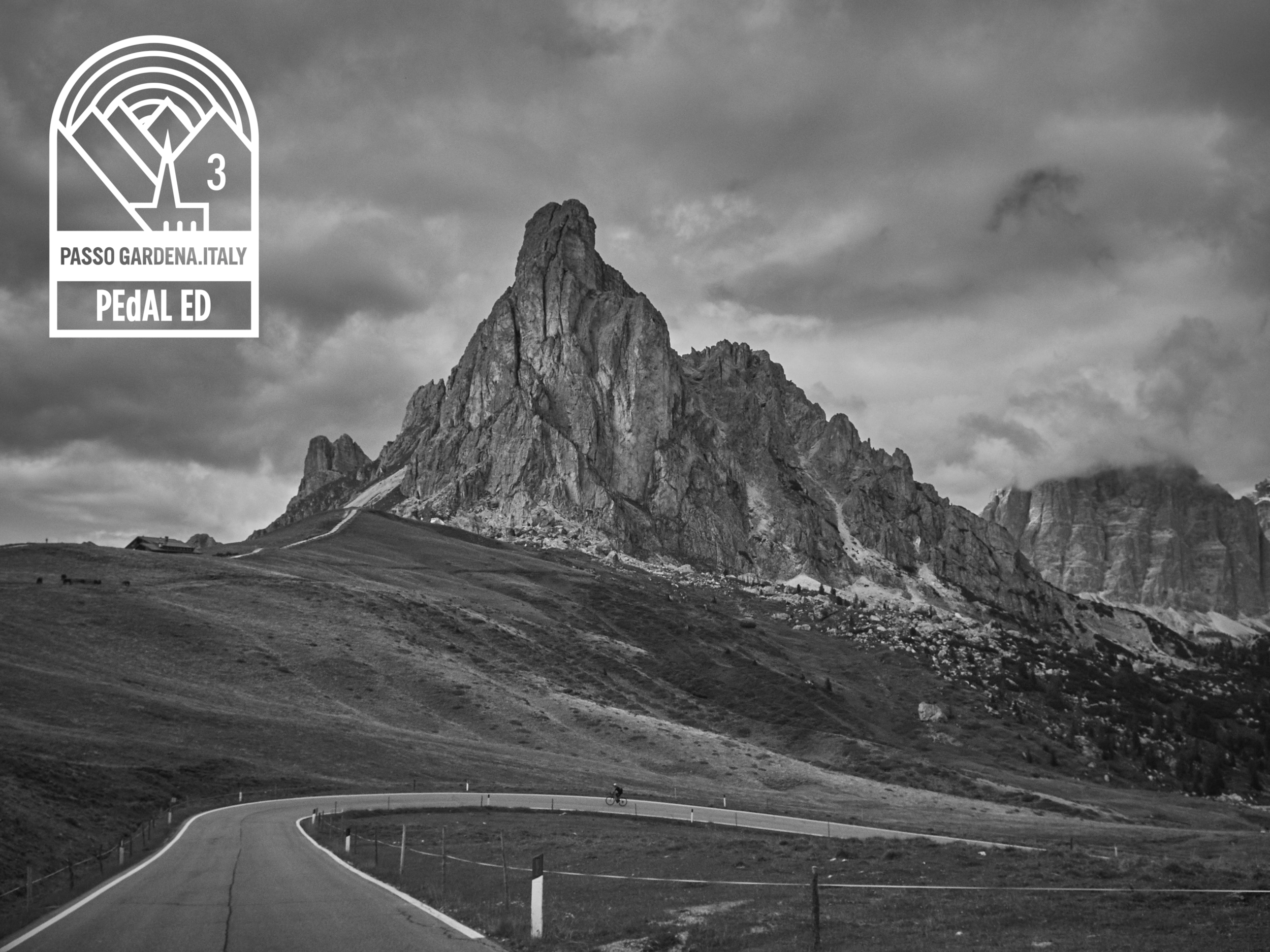 TCRNo7 CP3.png