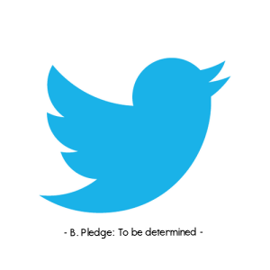 Twitter-logo-300x300-1.png