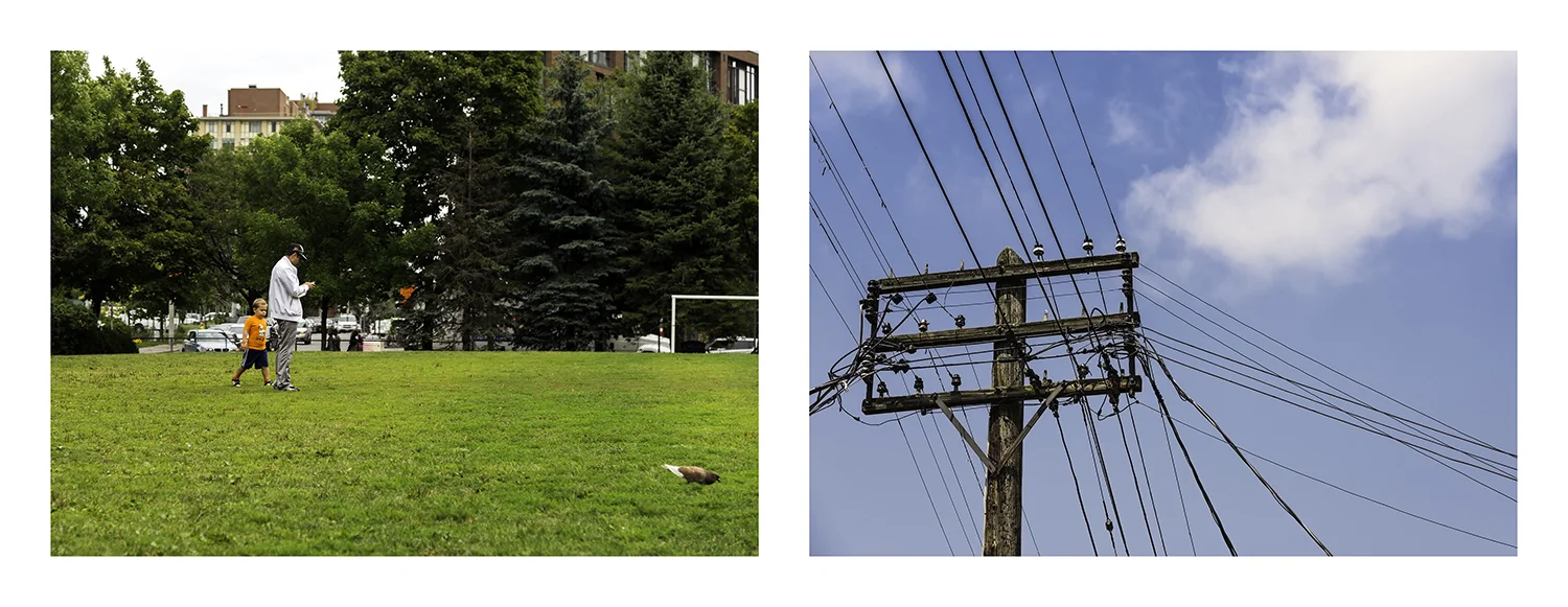 l 10 Rath_Dad in Park_Wire and Clouds web.jpg