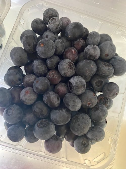Blueberries 1 pint