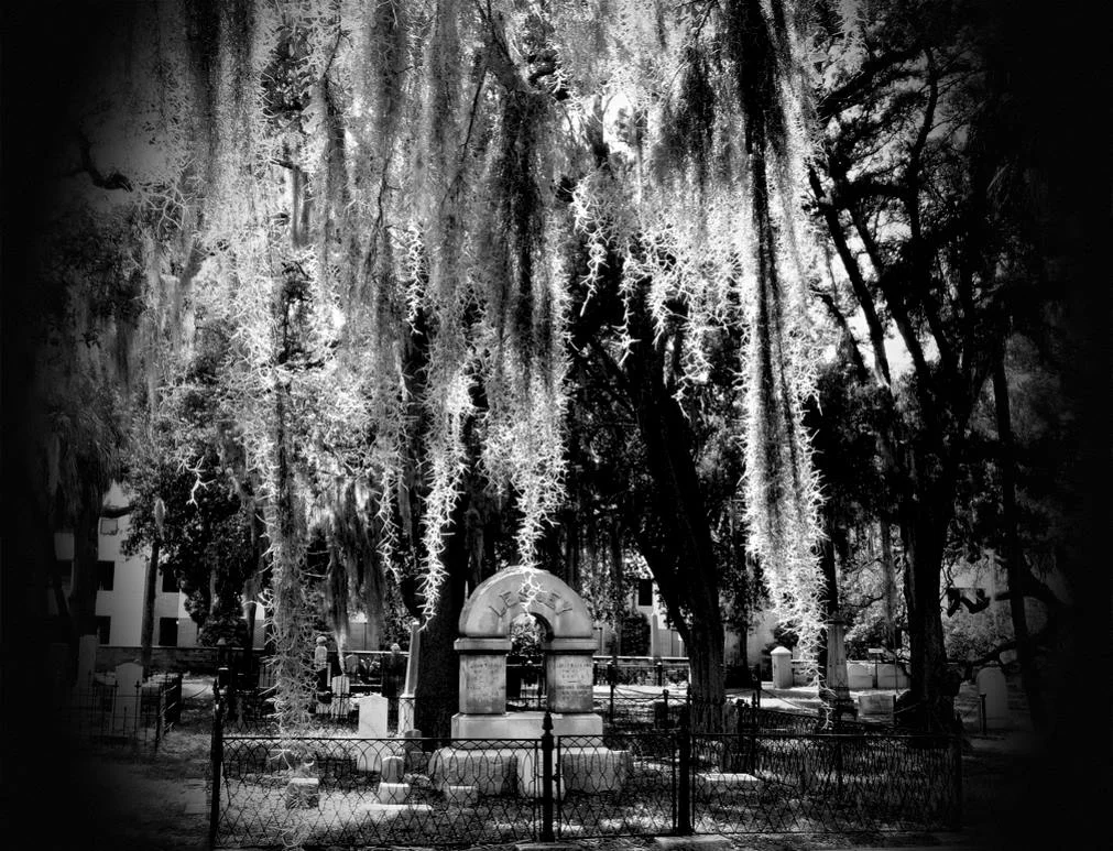 Goths Descend on Oaklawn Cemetery (Obscura on bread) (Tampa)
