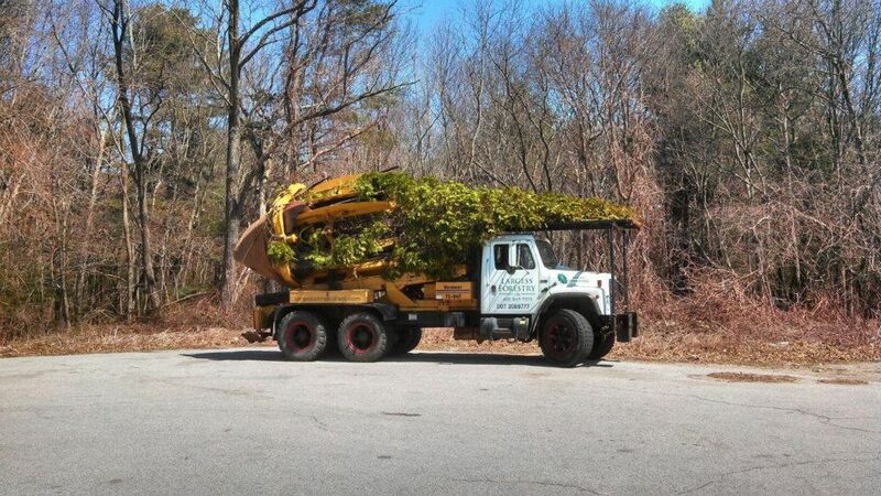 Transplanting