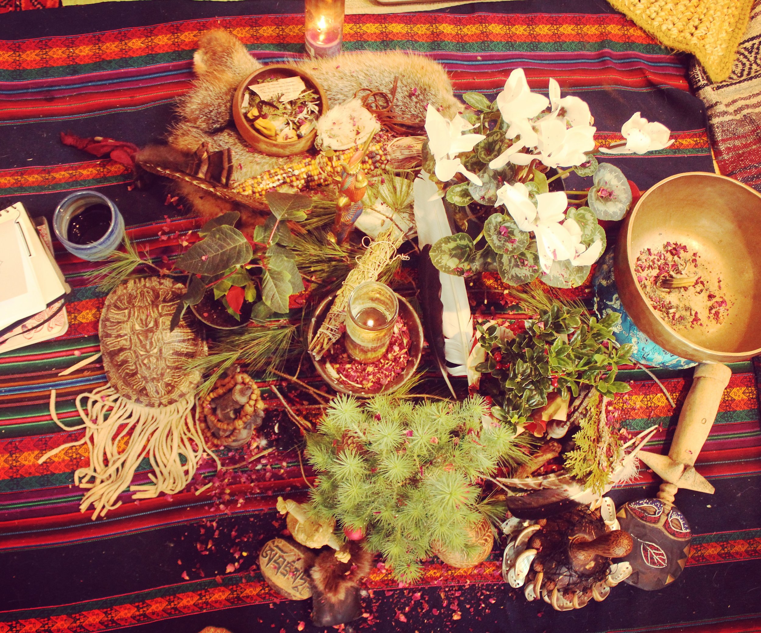  Daryl's Winter Solstice Evergreen Altar 