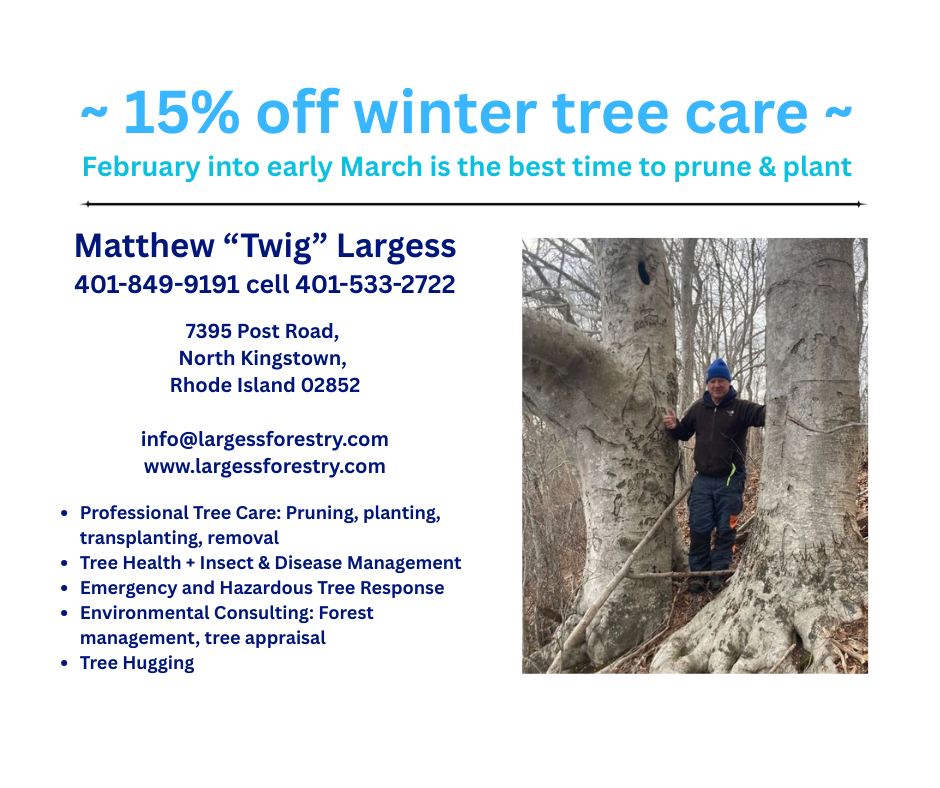 Your paragraph text(1).png