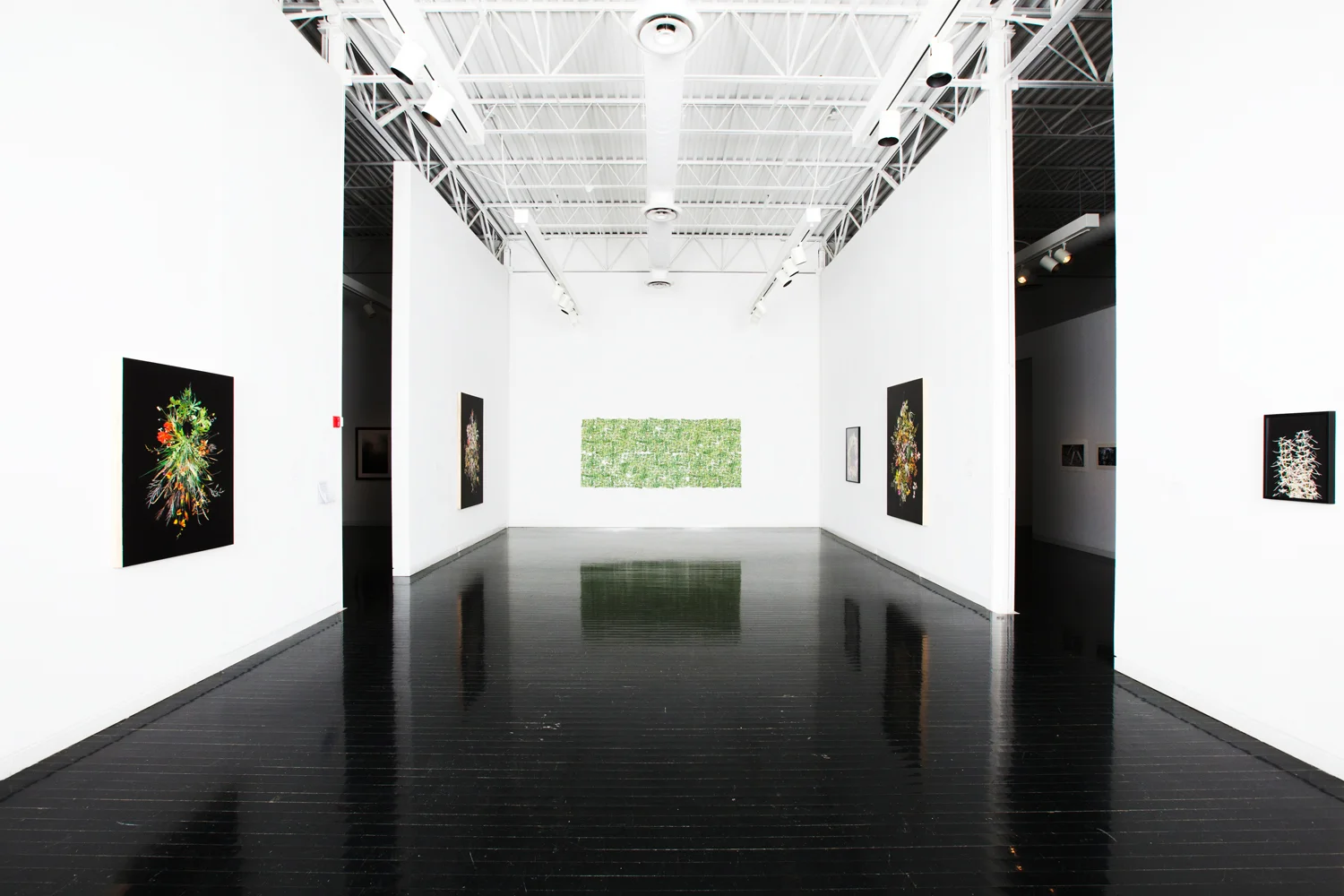Floral Burst at Elmhurst Art Museum