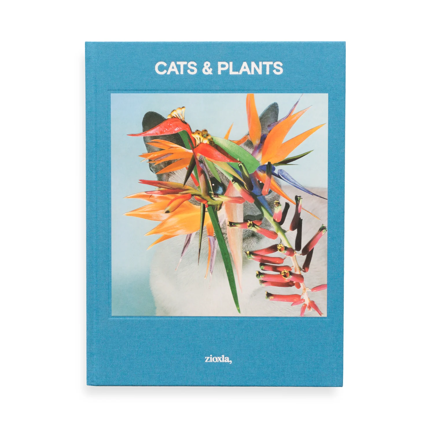 StephenEichhorn-Cats&PlantsBook.jpg