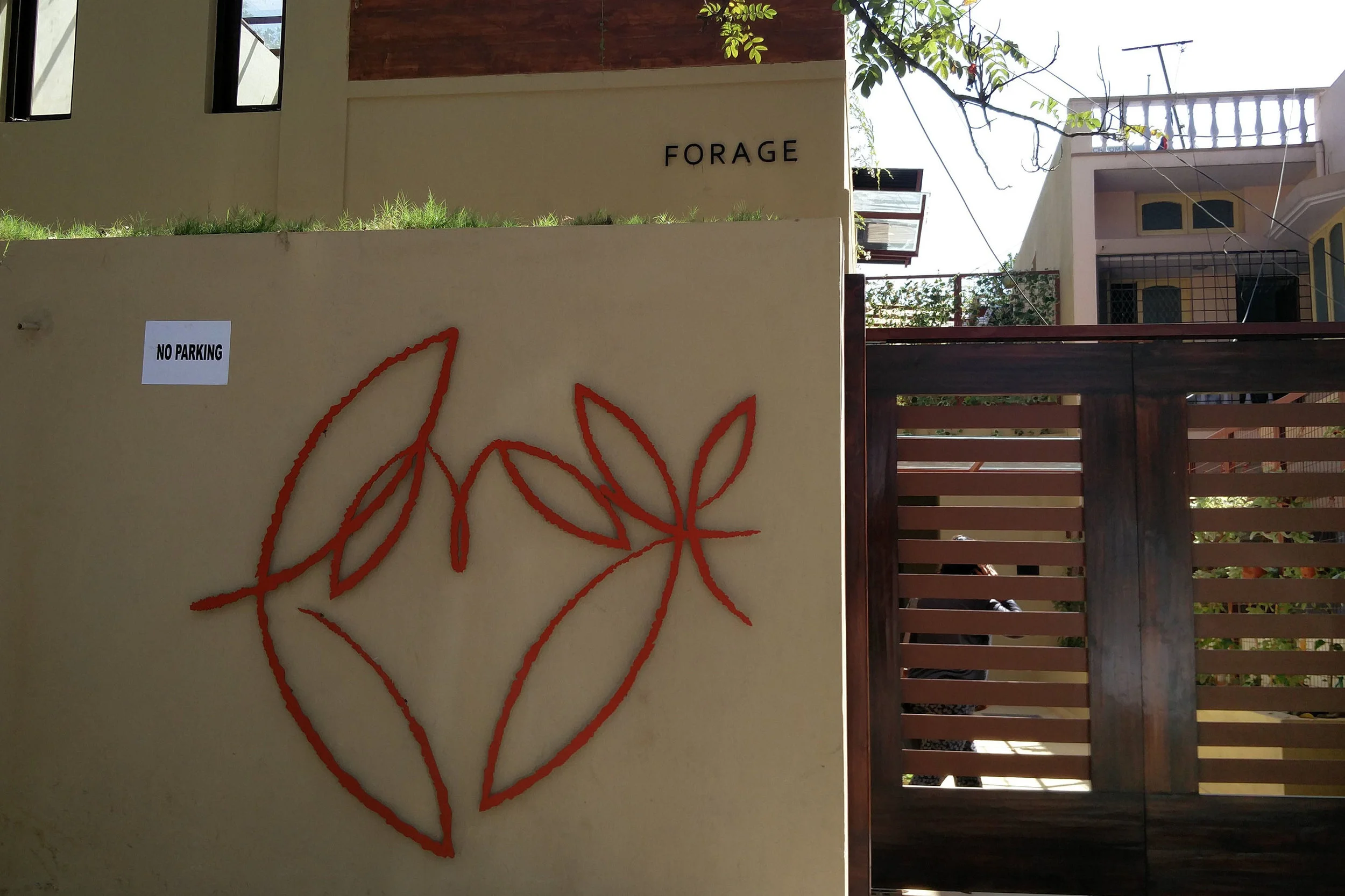 forage5.jpg