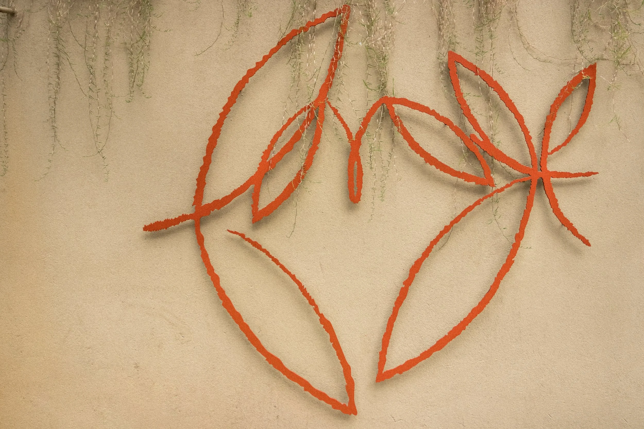FORAGE (13)__1526146198_103.5.133.12.jpg