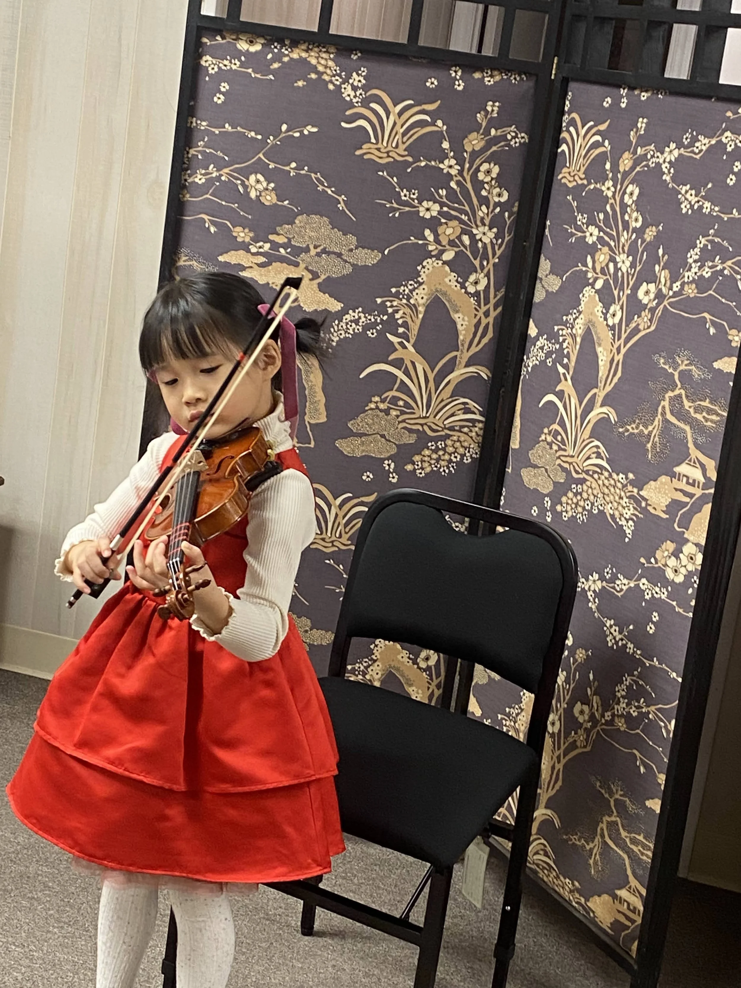 Violins and More of Lynchburg