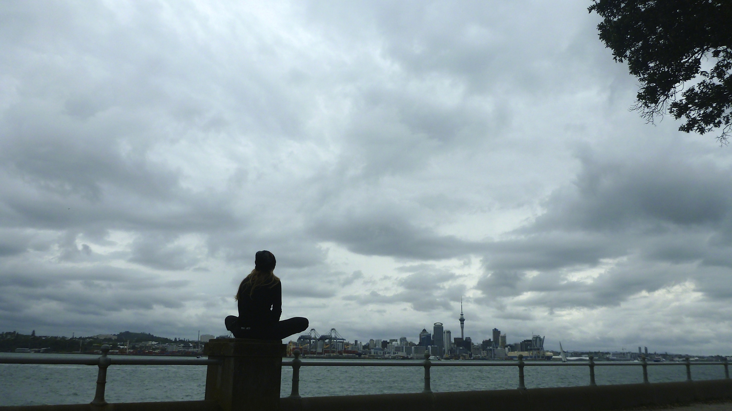 P1010809.jpg