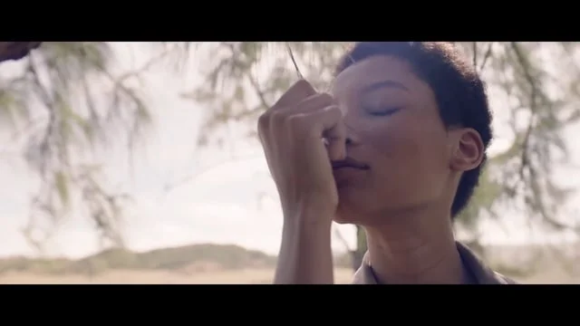 Zara "Spring Summer 2016"