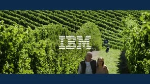 Watson at Work - Wine