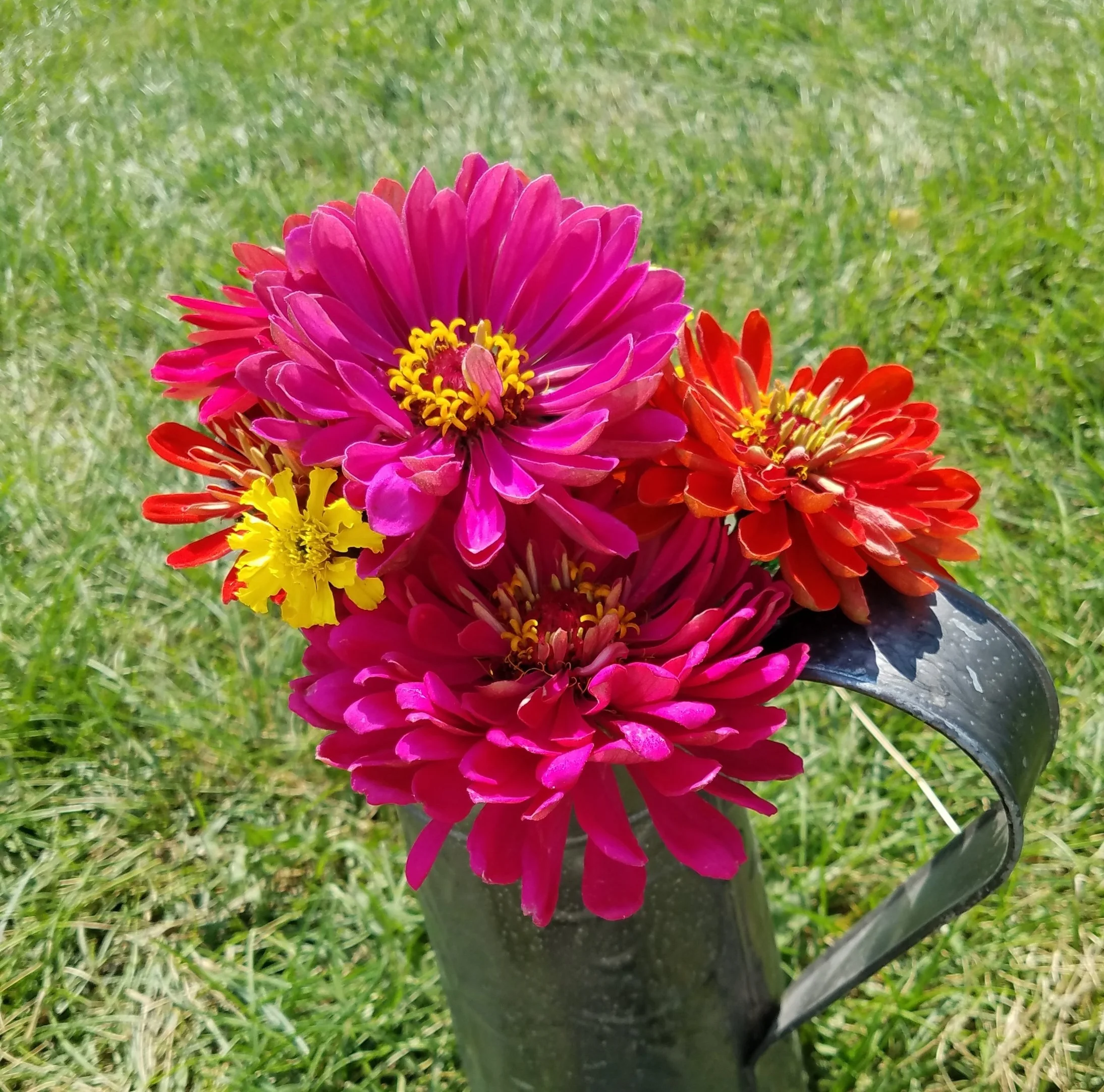 20170803_153142.jpg