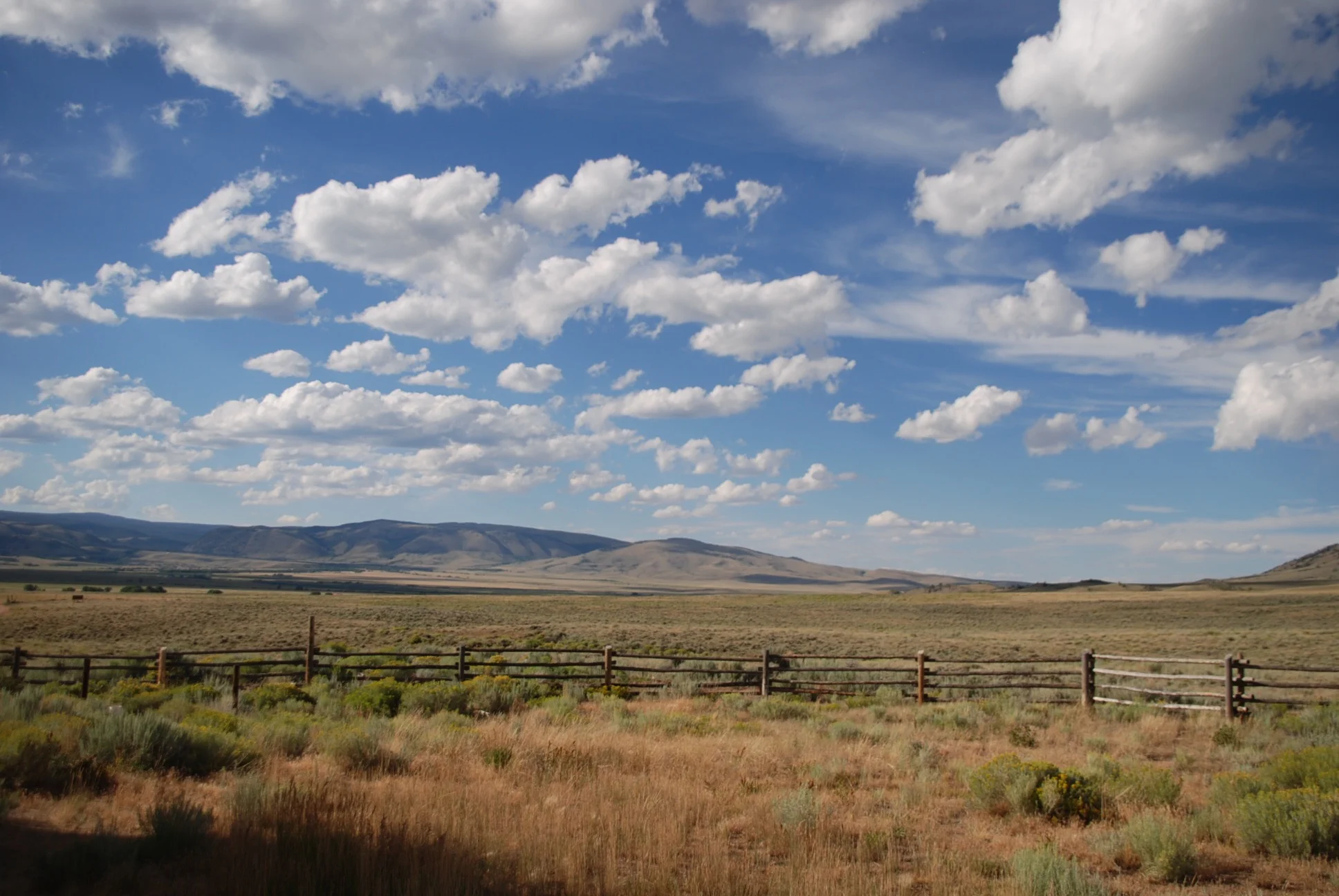 DSC_0588.jpg