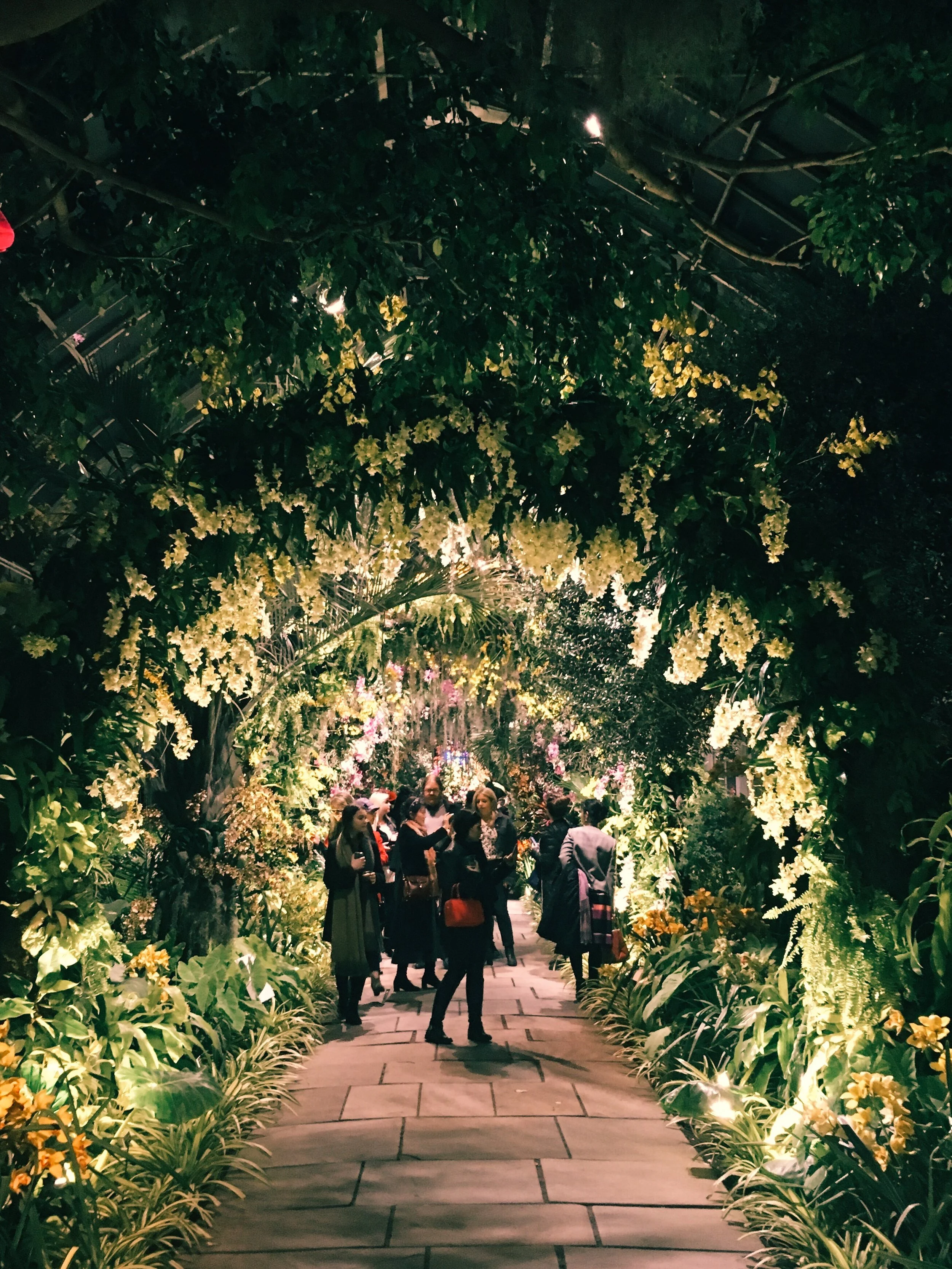 Orchid Evenings at The New York Botanical Garden — InvitedNYC