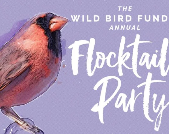 wbf-flocktail-580x460.jpg