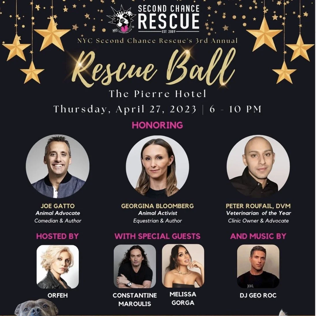 NYC Second Chance 3rd Annual Rescue Ball