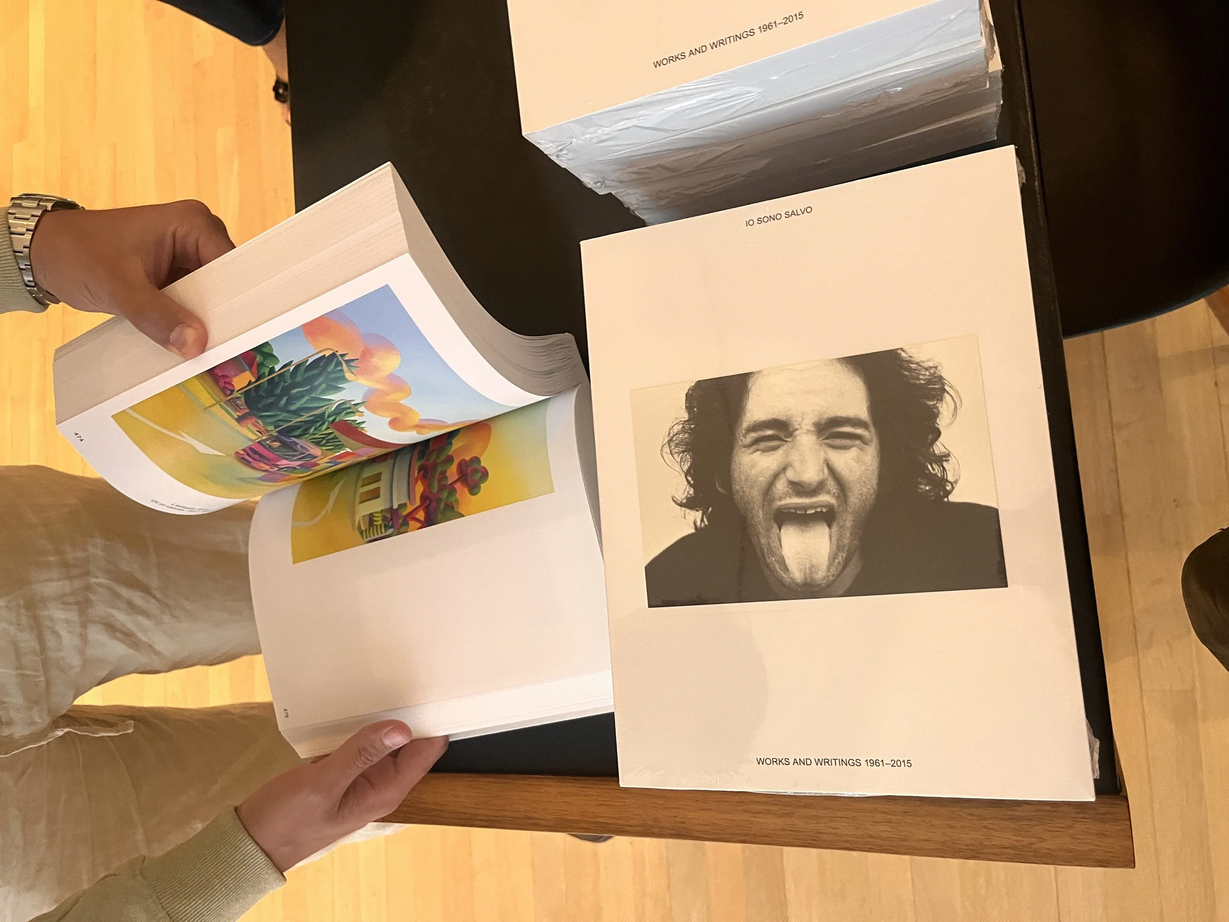 ON SALVO/DE SALVO: A New Monograph for a Multifaceted Artist