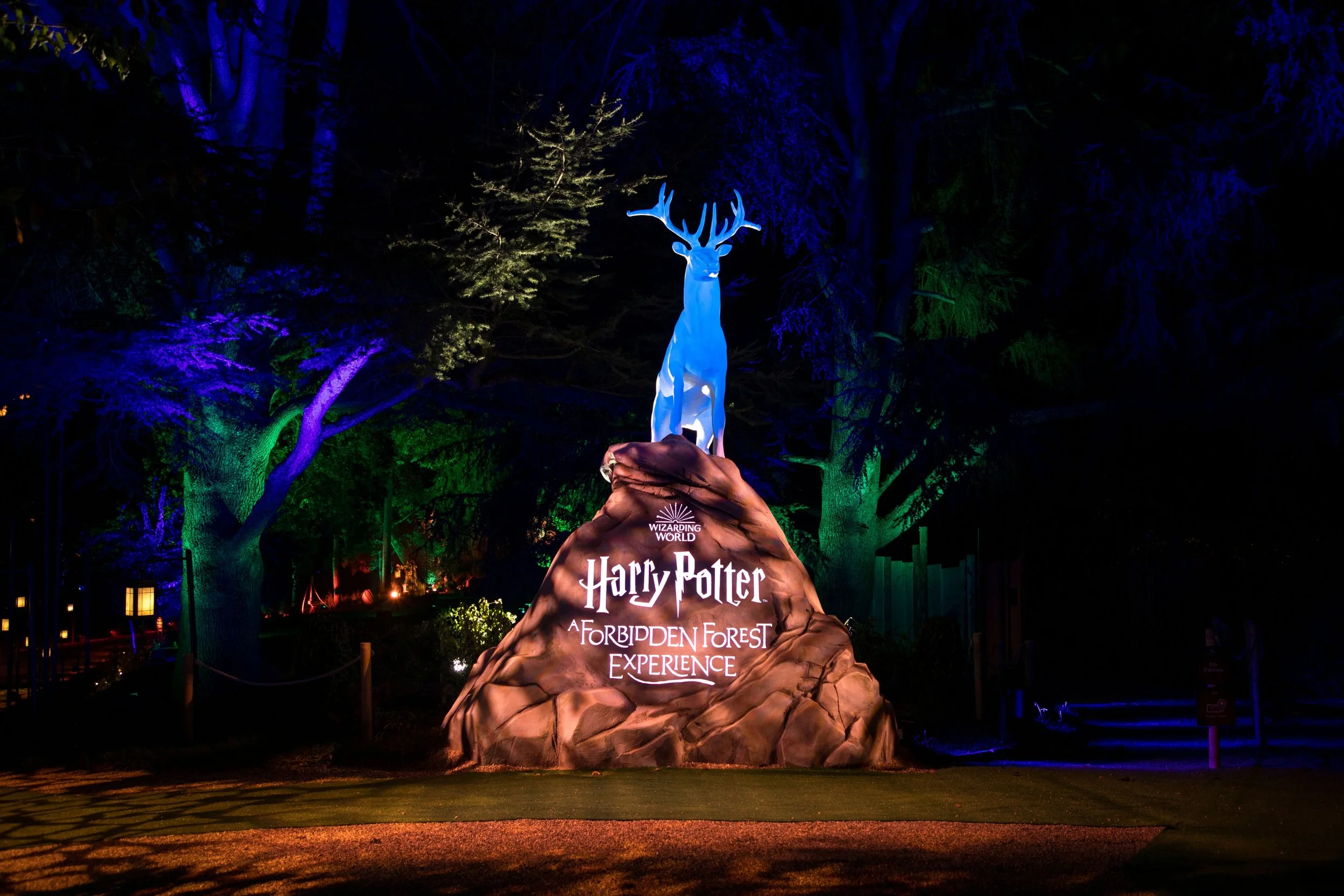 Harry Potter’s Forbidden Forest Returns