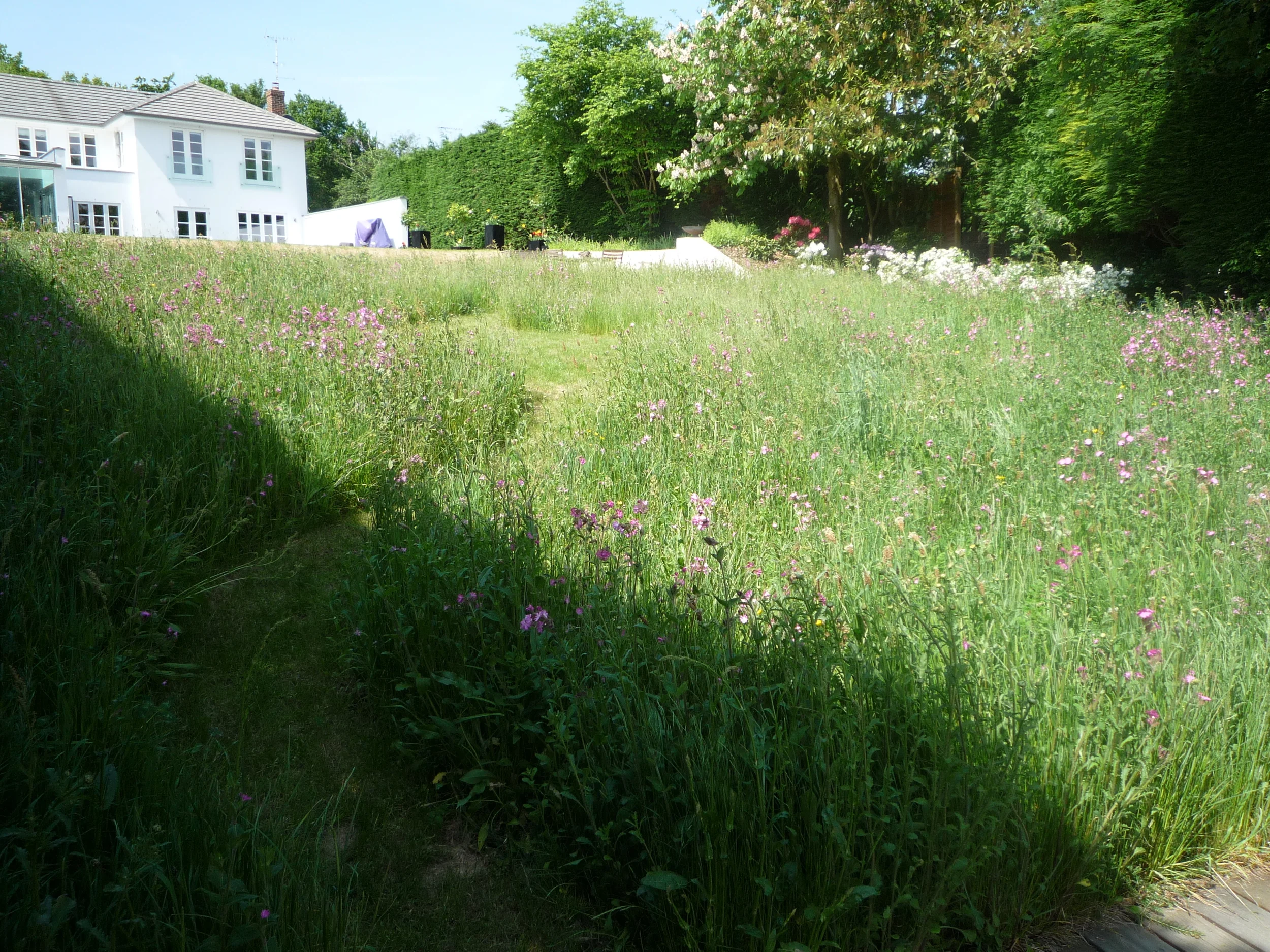 P1000779.JPG