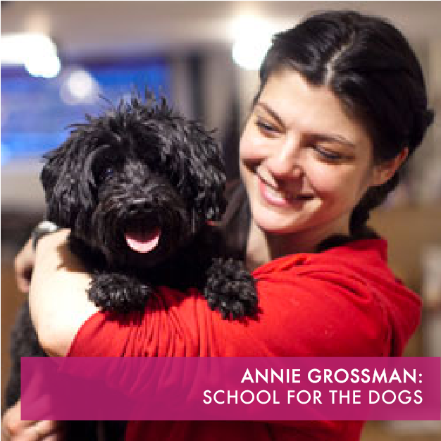 Teaching your dog doesn’t have to be a chore at School for the Dogs.  Using humane training methods since 2011, our Certified Trainers will help you change your dog’s behavior.