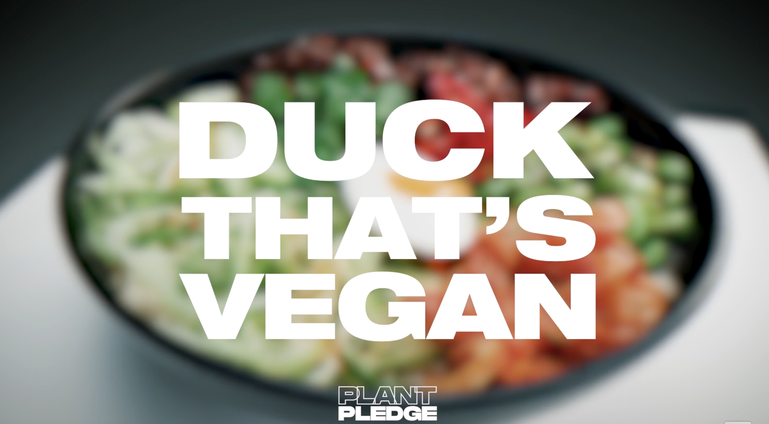 Screenshot 2026-02-15 at 20.49.45.png