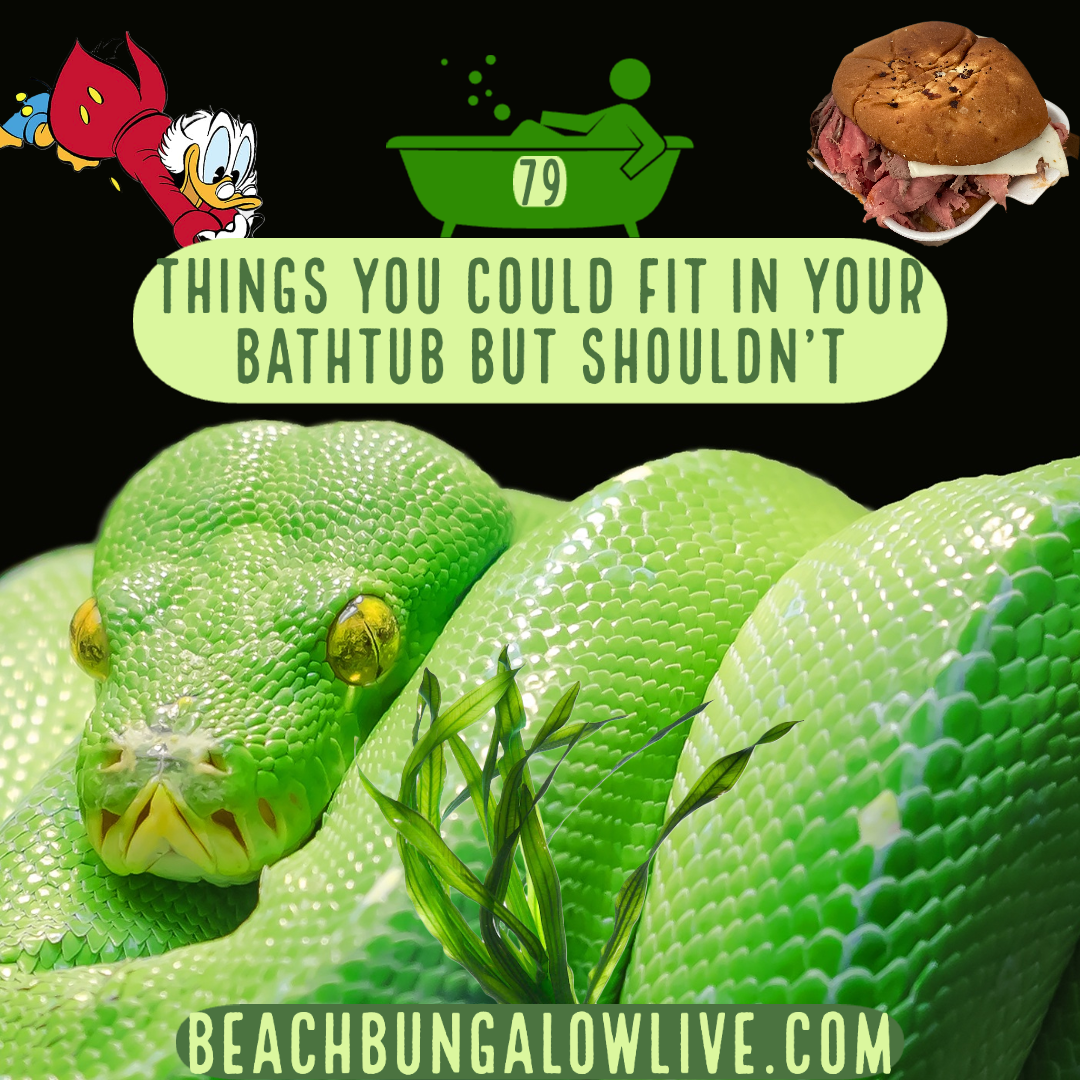 079: Things You Could Fit in Your Bathtub but Shouldn’t