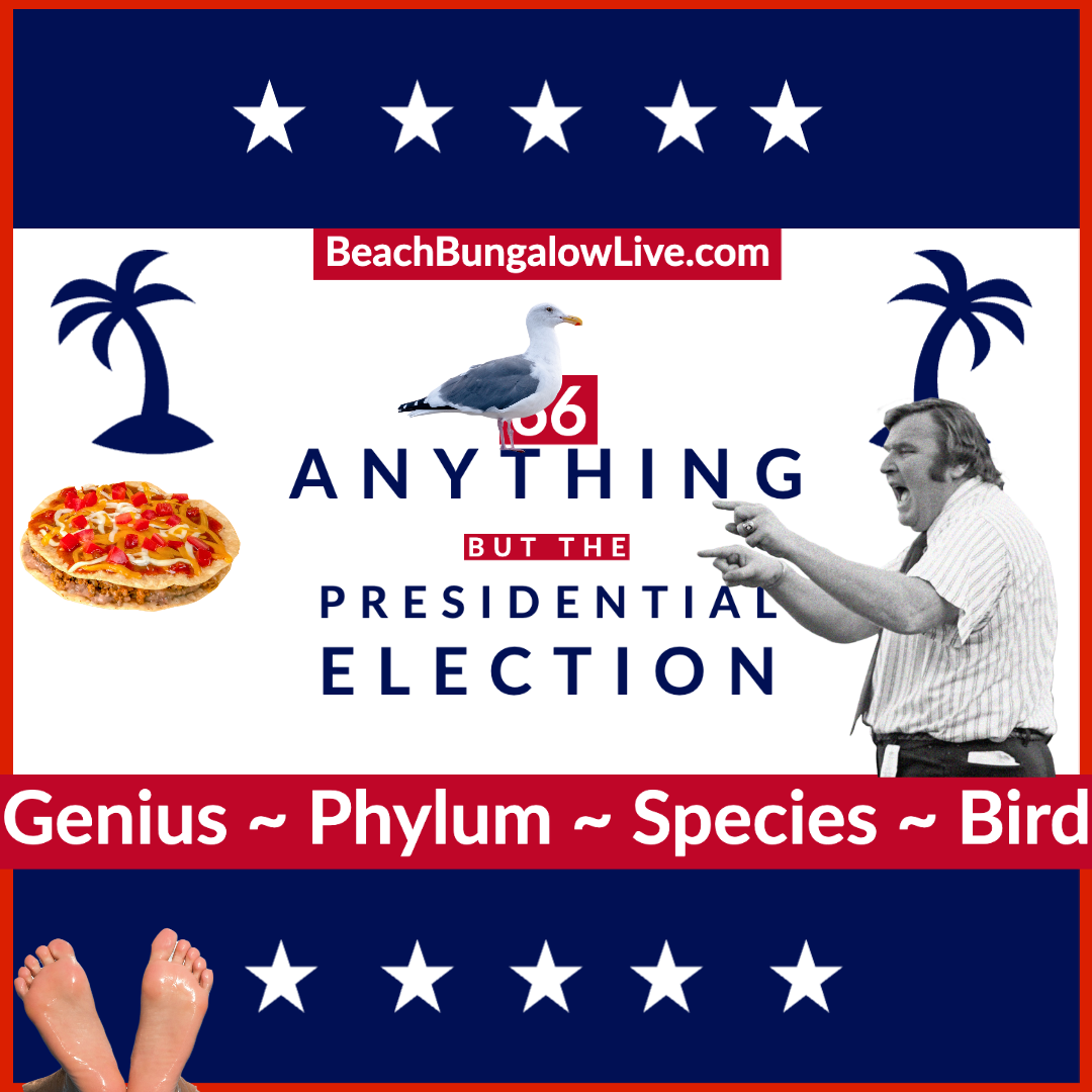 066: Anything but the Presidential Election