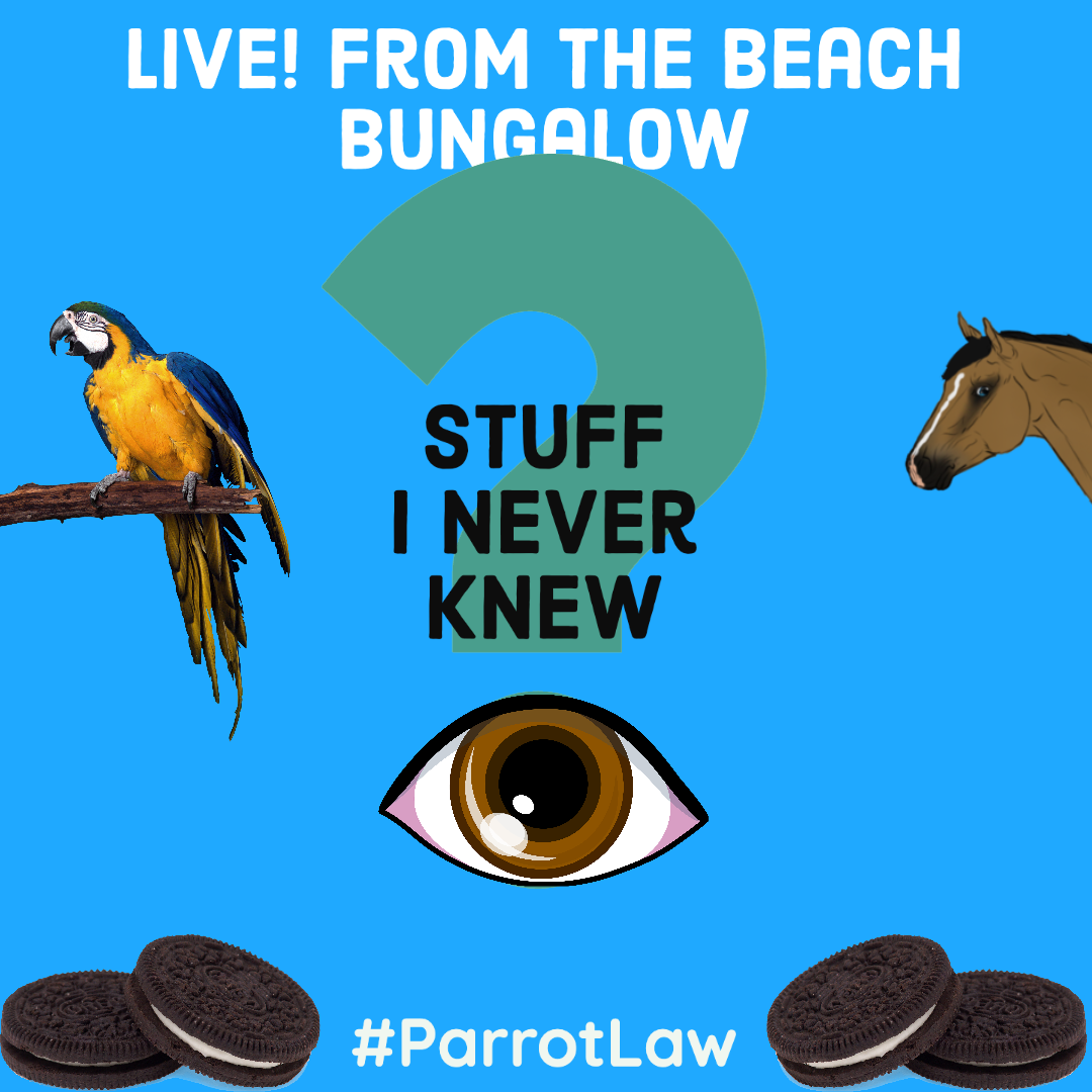 046: Stuff I Never Knew