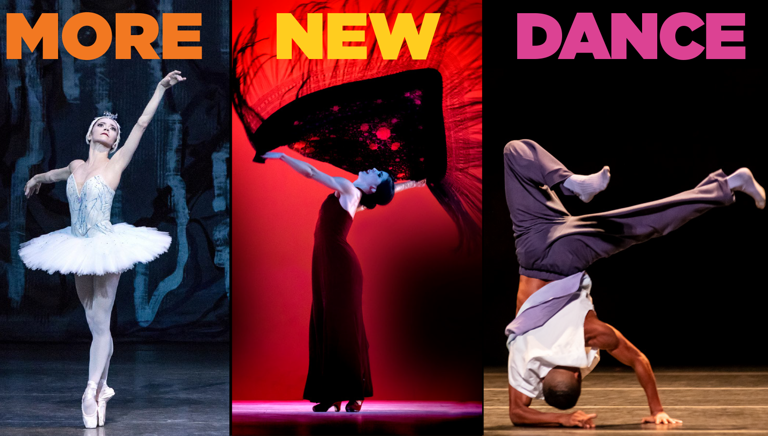 MORE NEW DANCE_2023.png