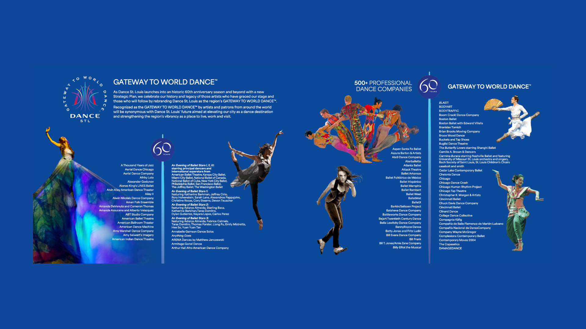 DSL_Strategic Plan_Website_Image.png