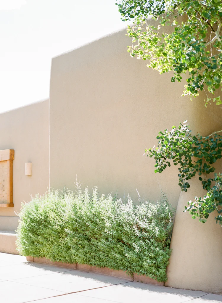 New Mexico Paako Ridge Golf Club Wedding Albuquerque Photo | Lauren Galloway Photography-14.jpg